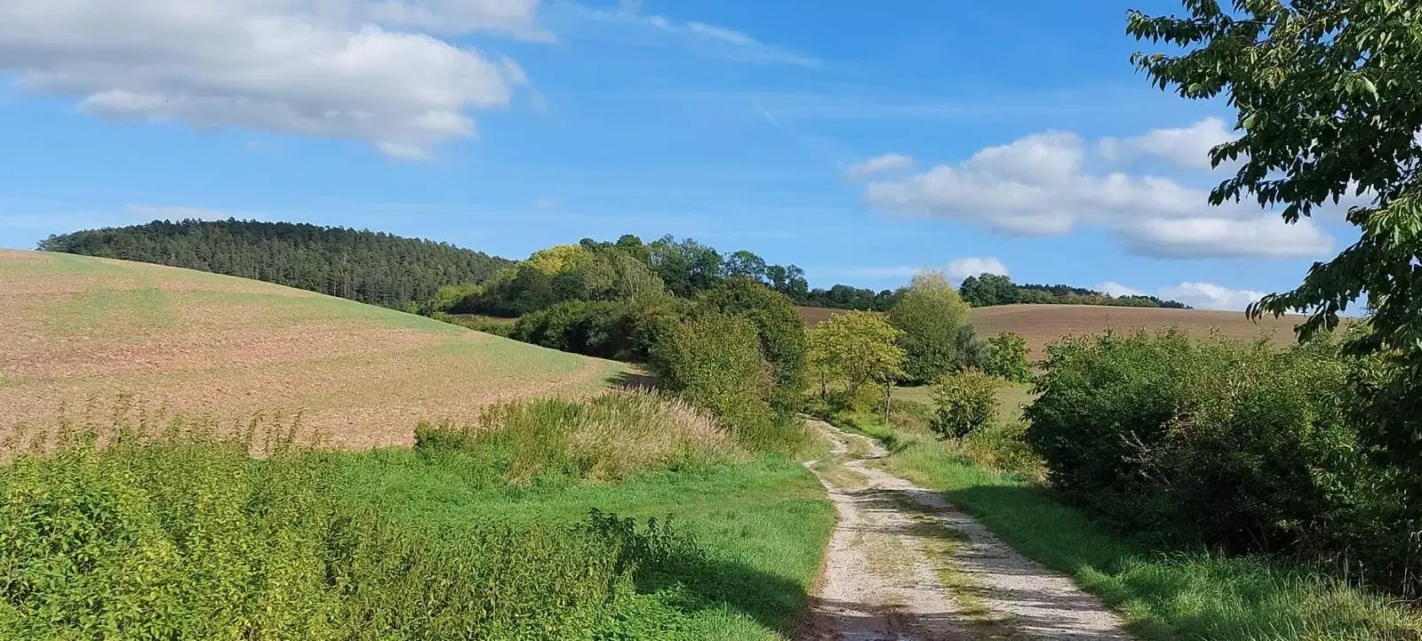 Vakwerkhuis in Treffurt - Duitsland