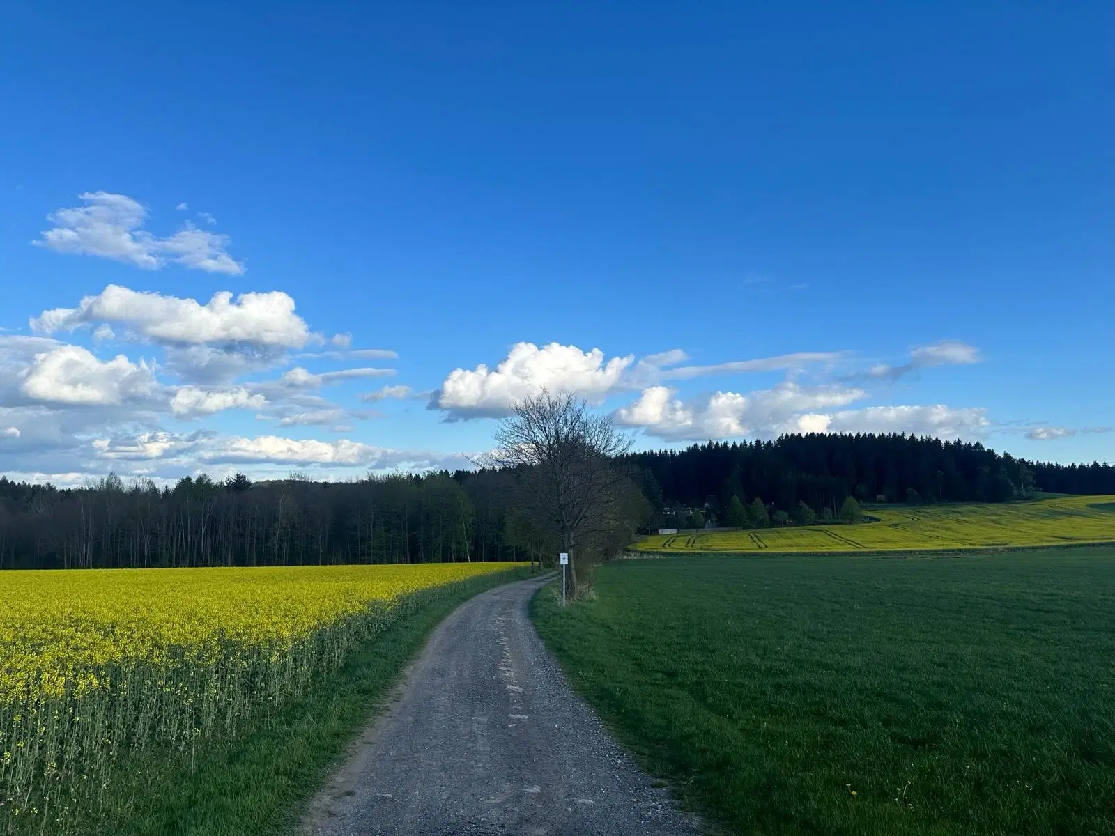 Recreatiekavel met bungalow in Krumhermersdorf - Duitsland