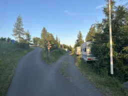 Perceel bosgrond in Zedlitz - Borna - Duitsland