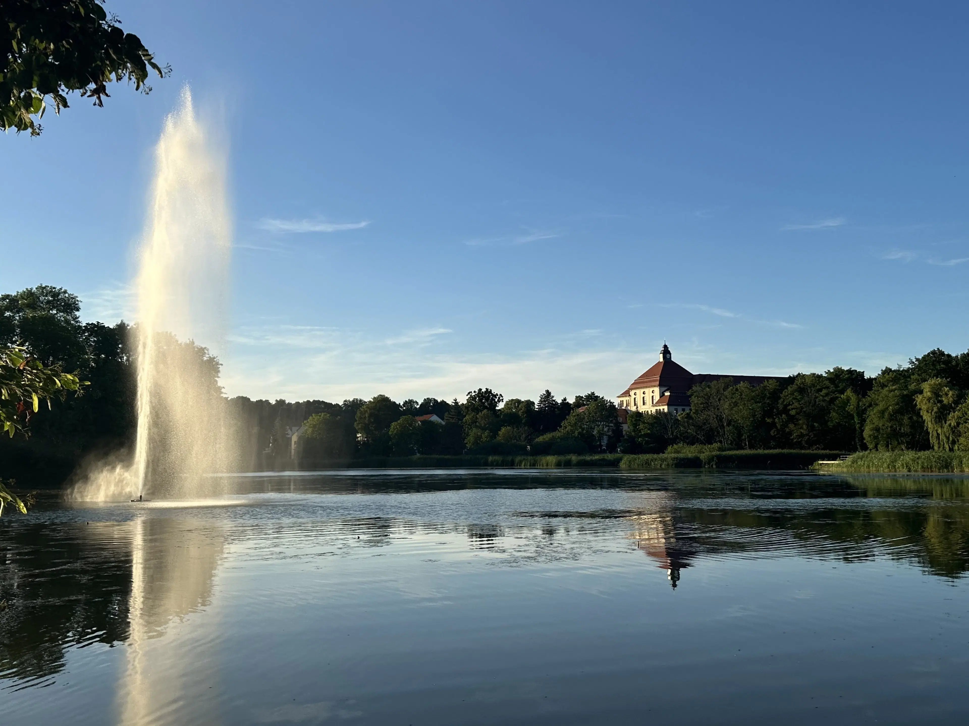 Perceel bosgrond in Zedlitz - Borna - Duitsland