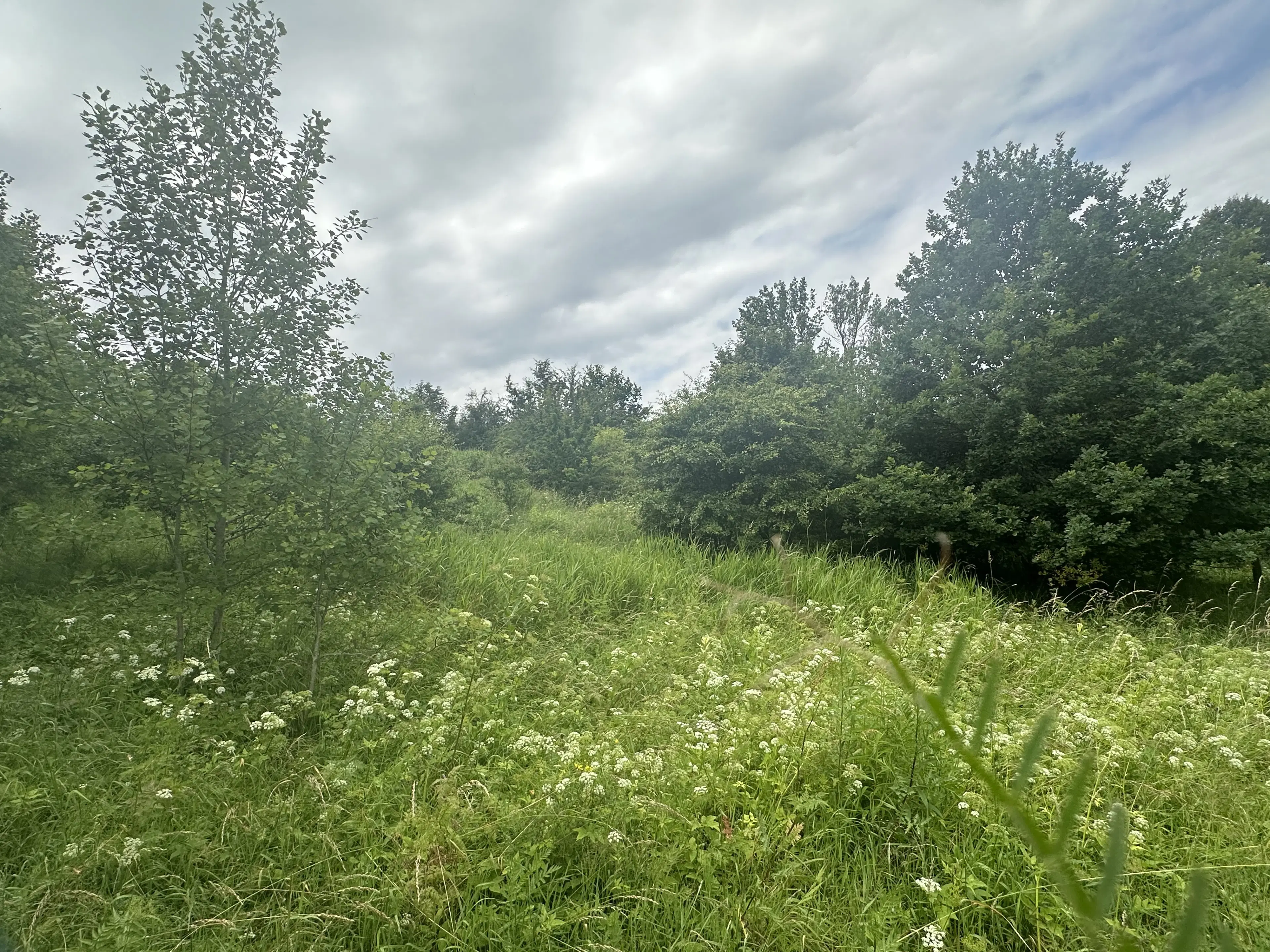 Perceel grond met jachthut van 3.320 m2 in Friedrichroda - Duitsland