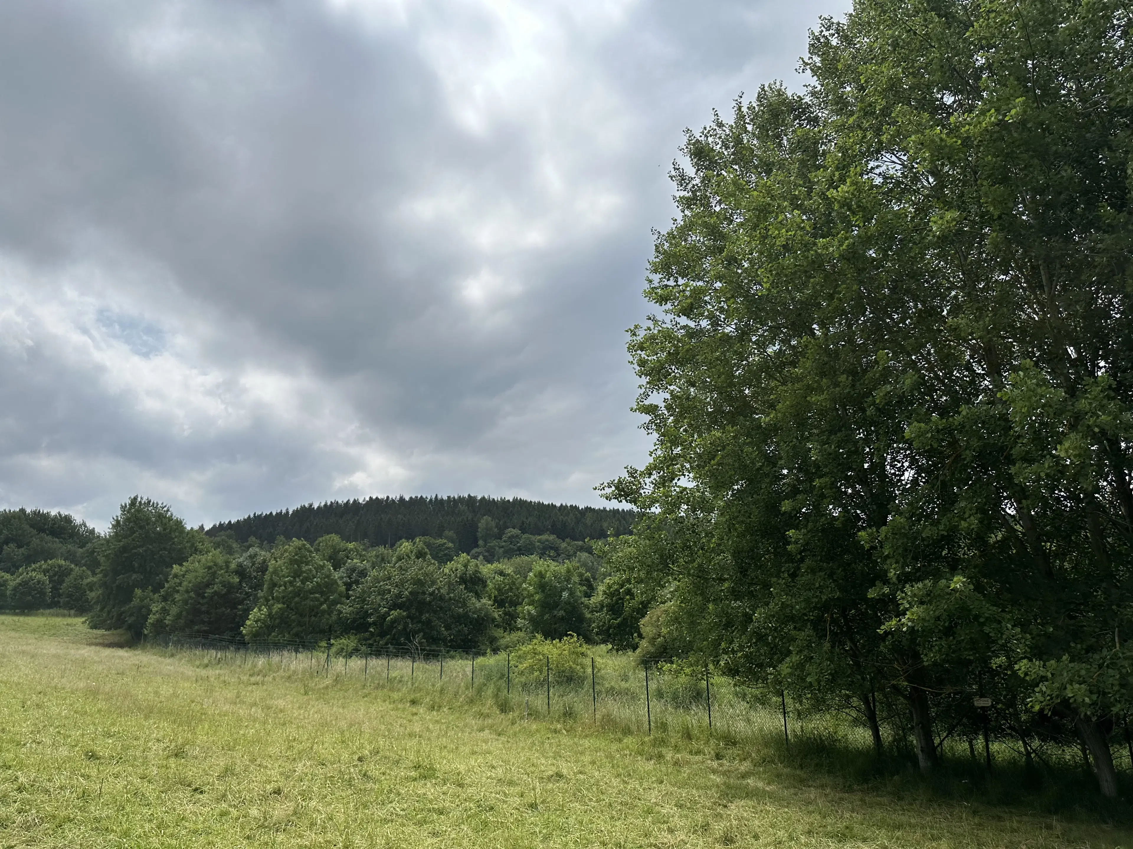 Perceel grond met jachthut van 3.320 m2 in Friedrichroda - Duitsland