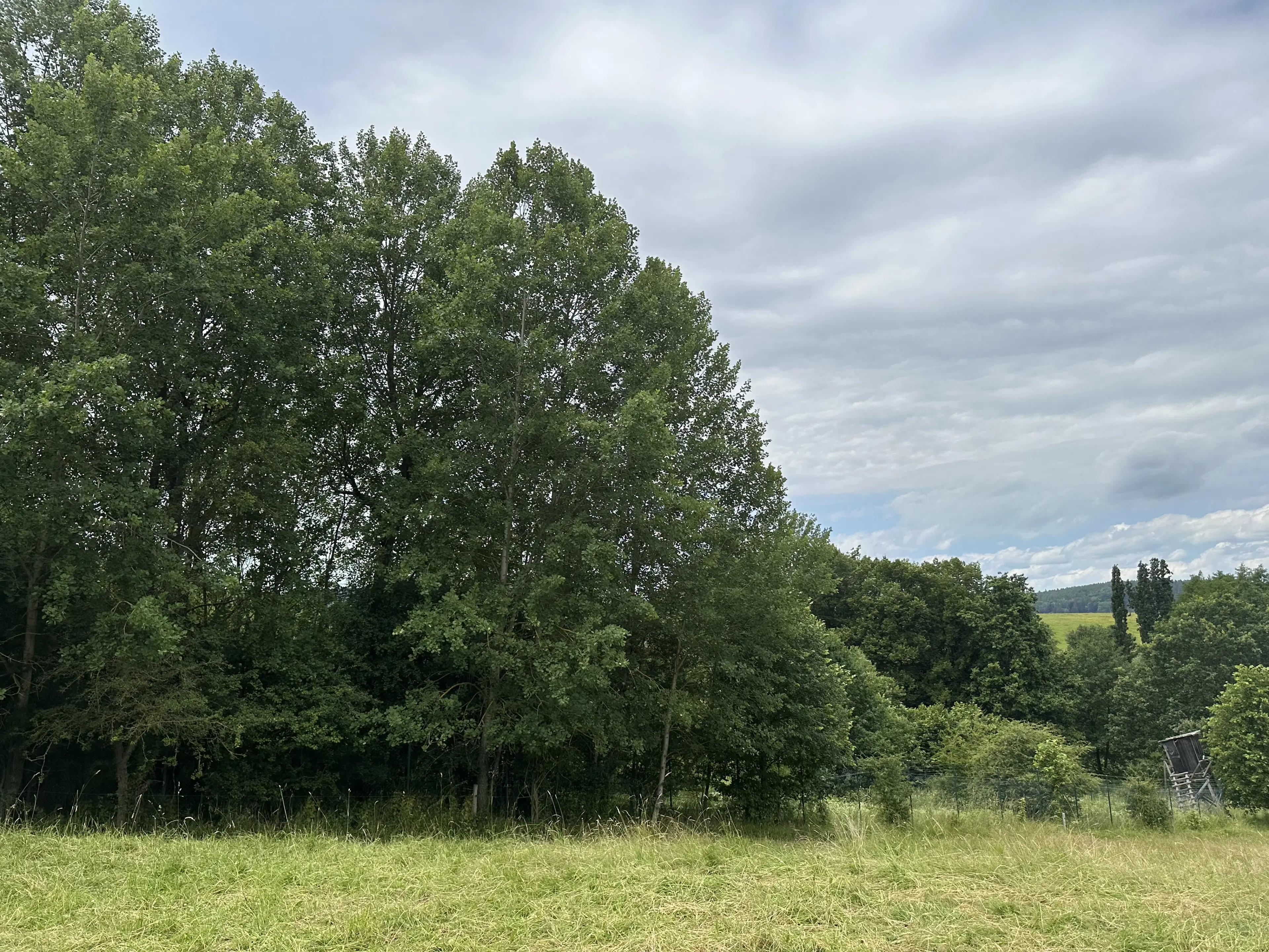 Perceel grond met jachthut van 3.320 m2 in Friedrichroda - Duitsland