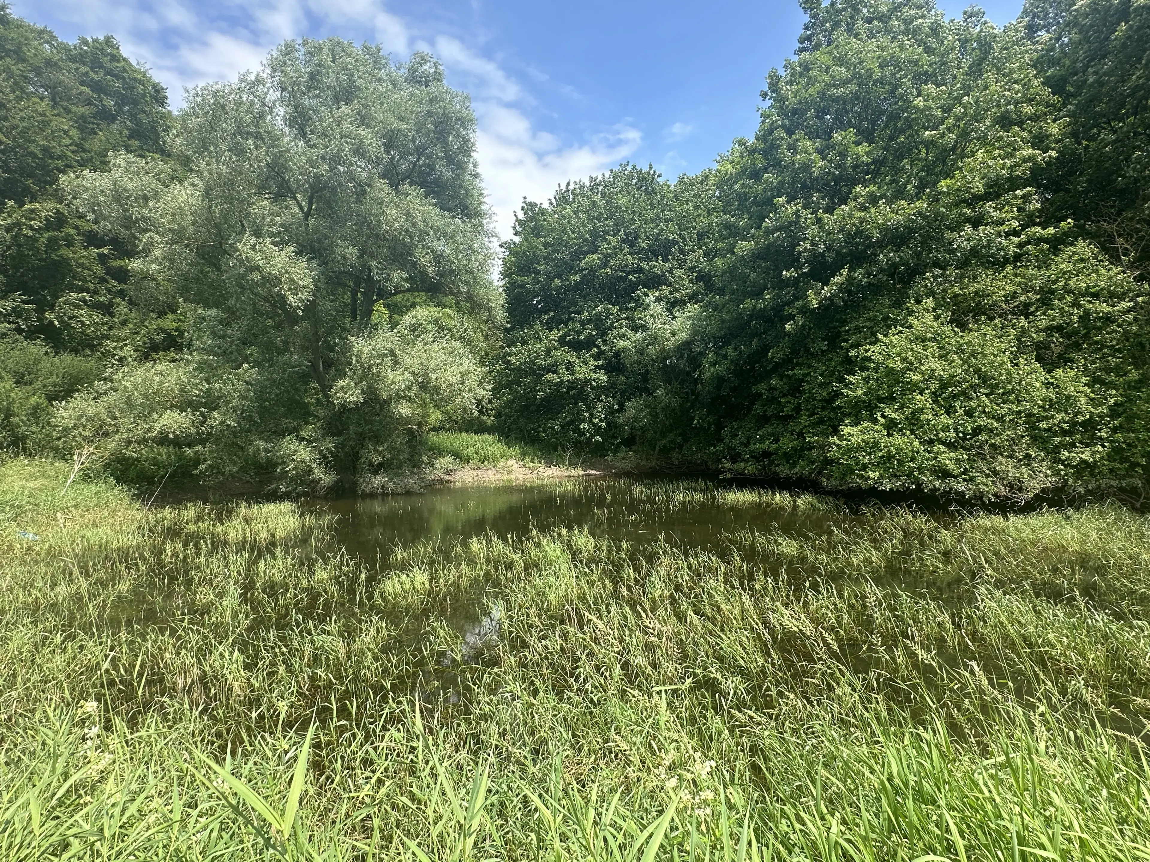 Perceel grond met jachthut van 3.320 m2 in Friedrichroda - Duitsland