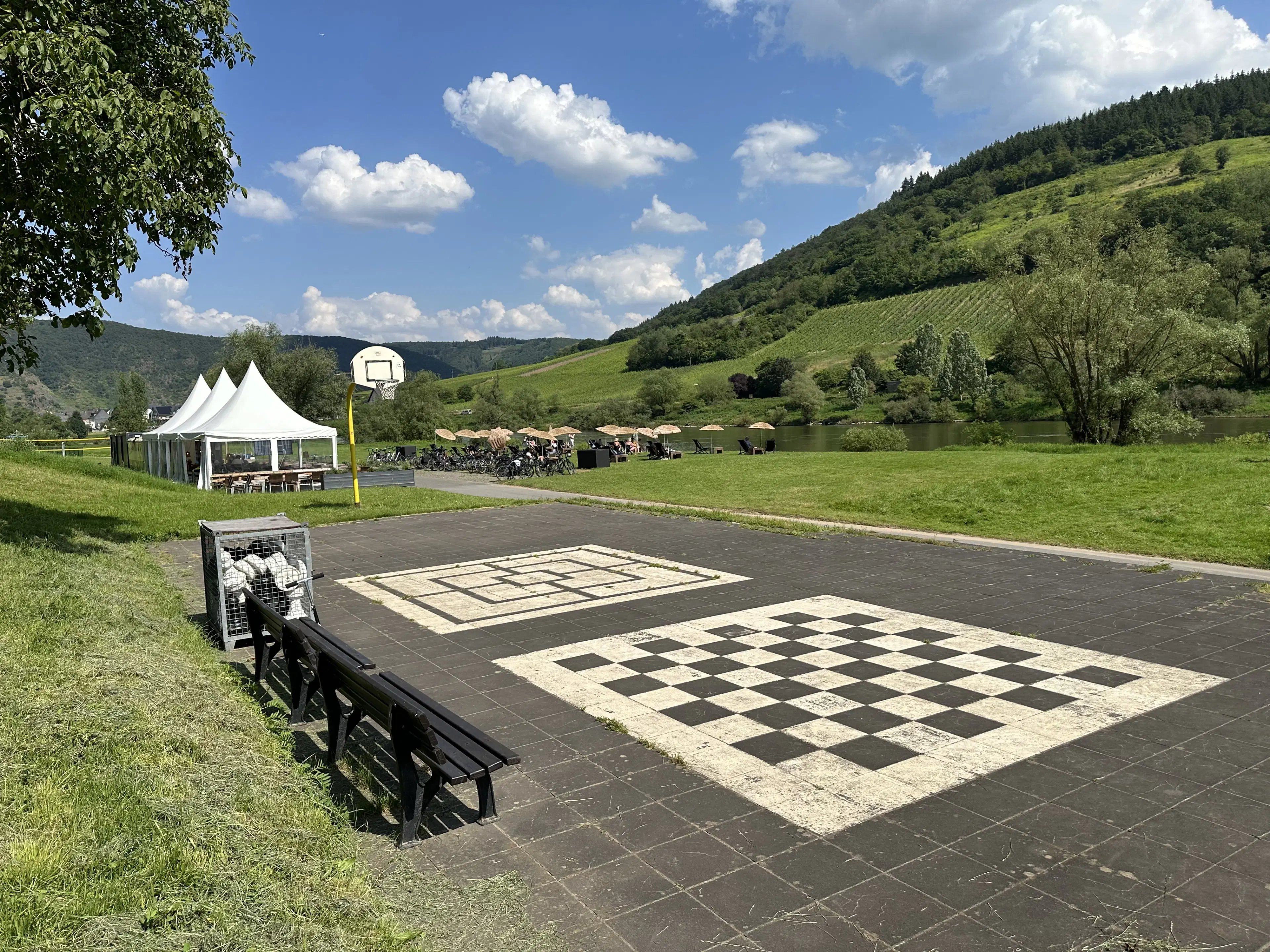 Gebruiksklare wijngaarden in Cochem - Bremm - Duitsland