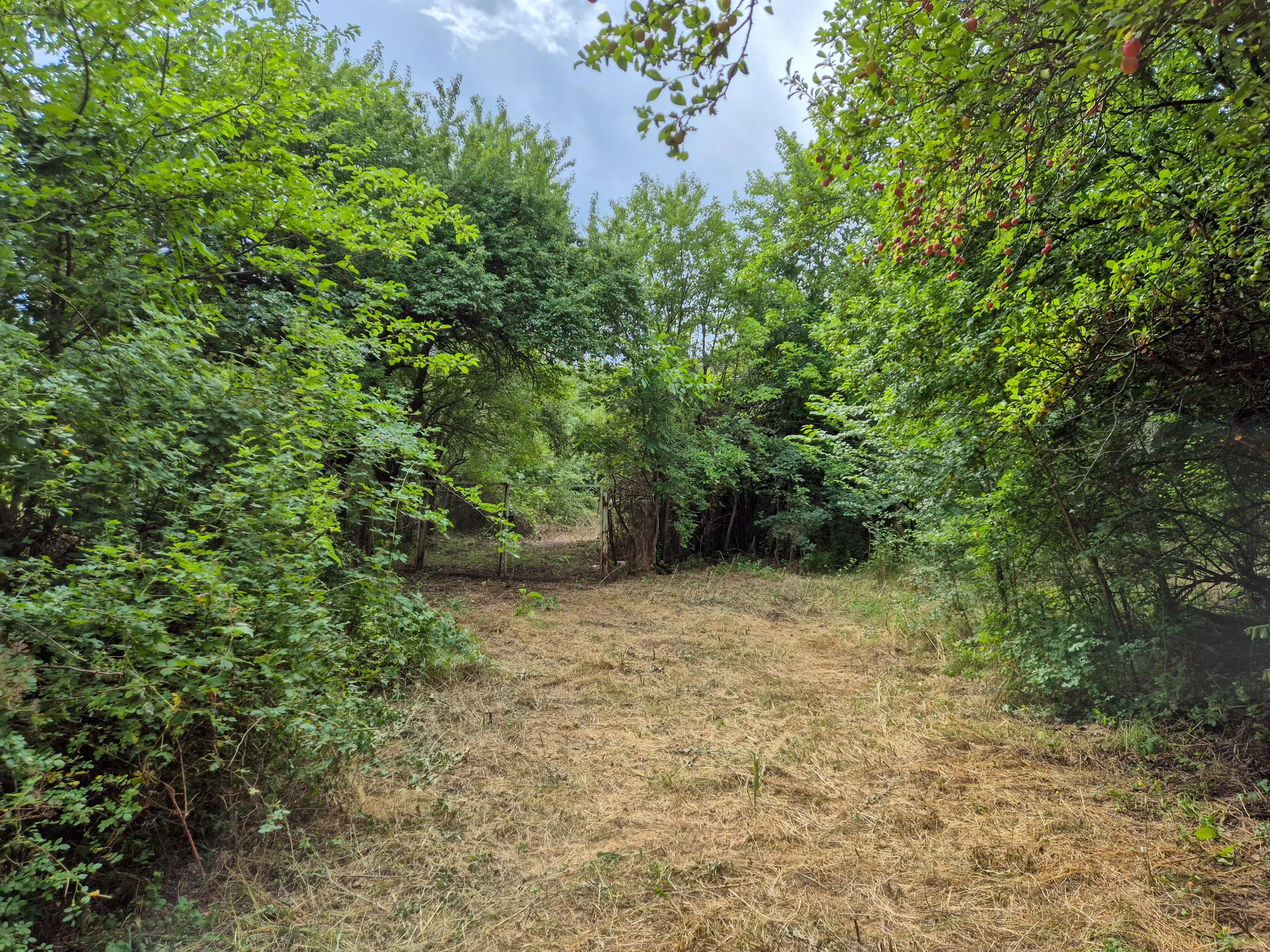 3.948 m2 grond met klassiek huis en bijgebouw in Izvor Mahala (Vidin) - Bulgarije