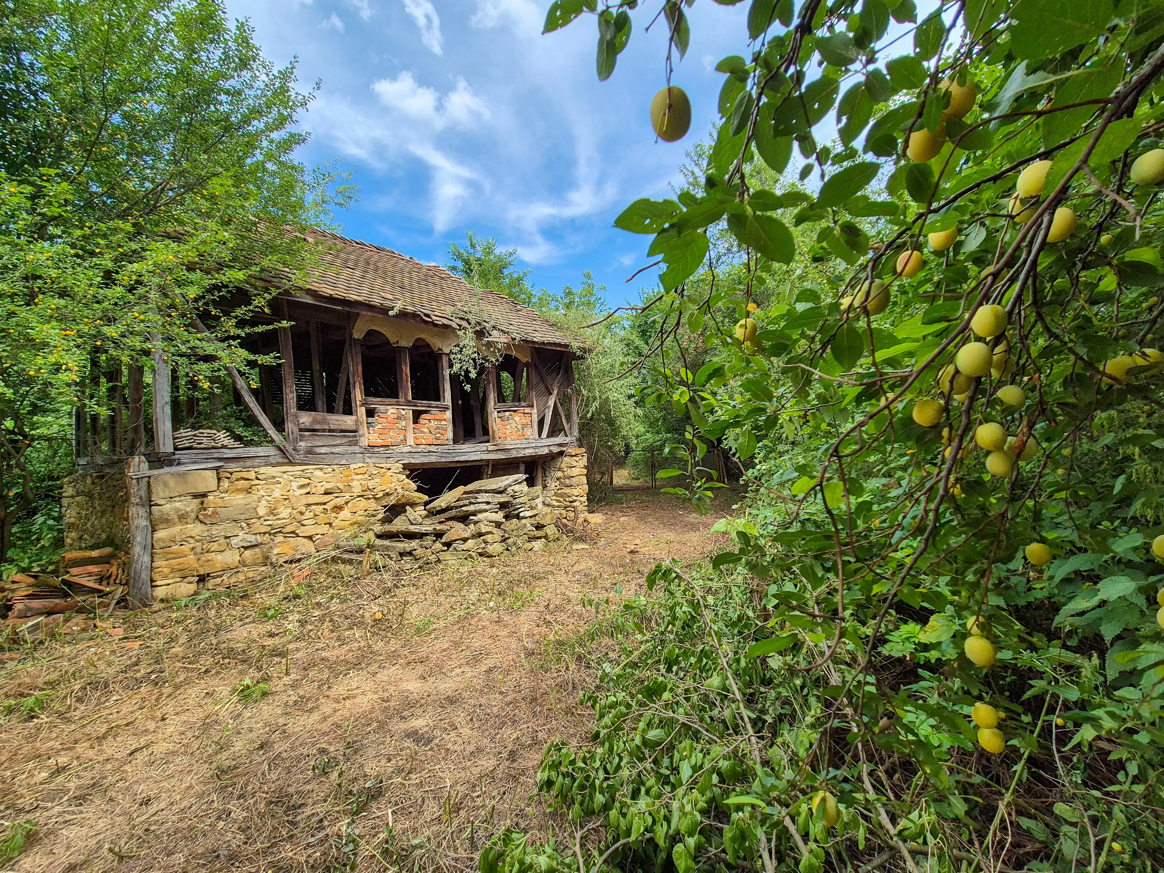 3.948 m2 grond met klassiek huis en bijgebouw in Izvor Mahala (Vidin) - Bulgarije