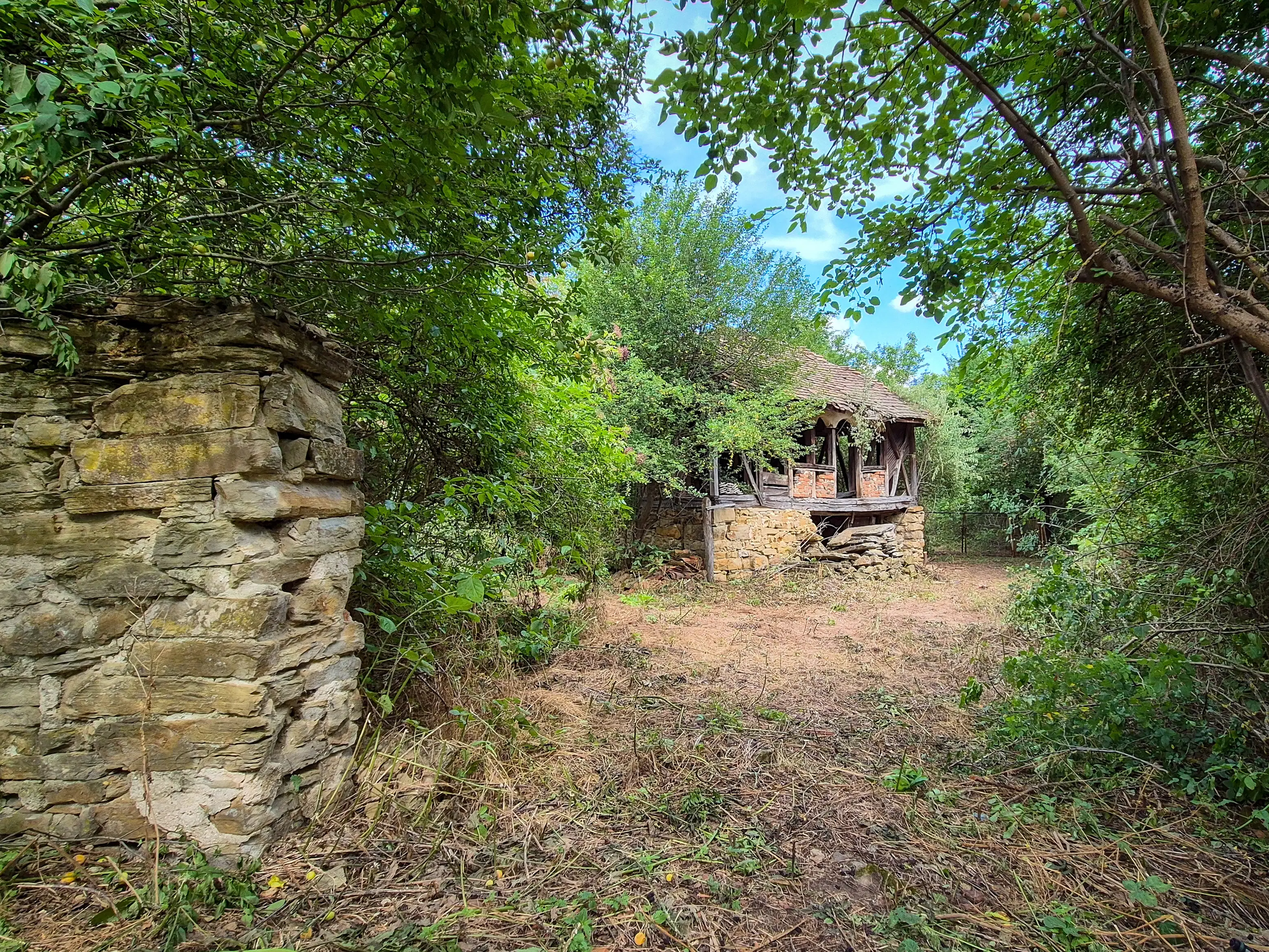 3.948 m2 grond met klassiek huis en bijgebouw in Izvor Mahala (Vidin) - Bulgarije