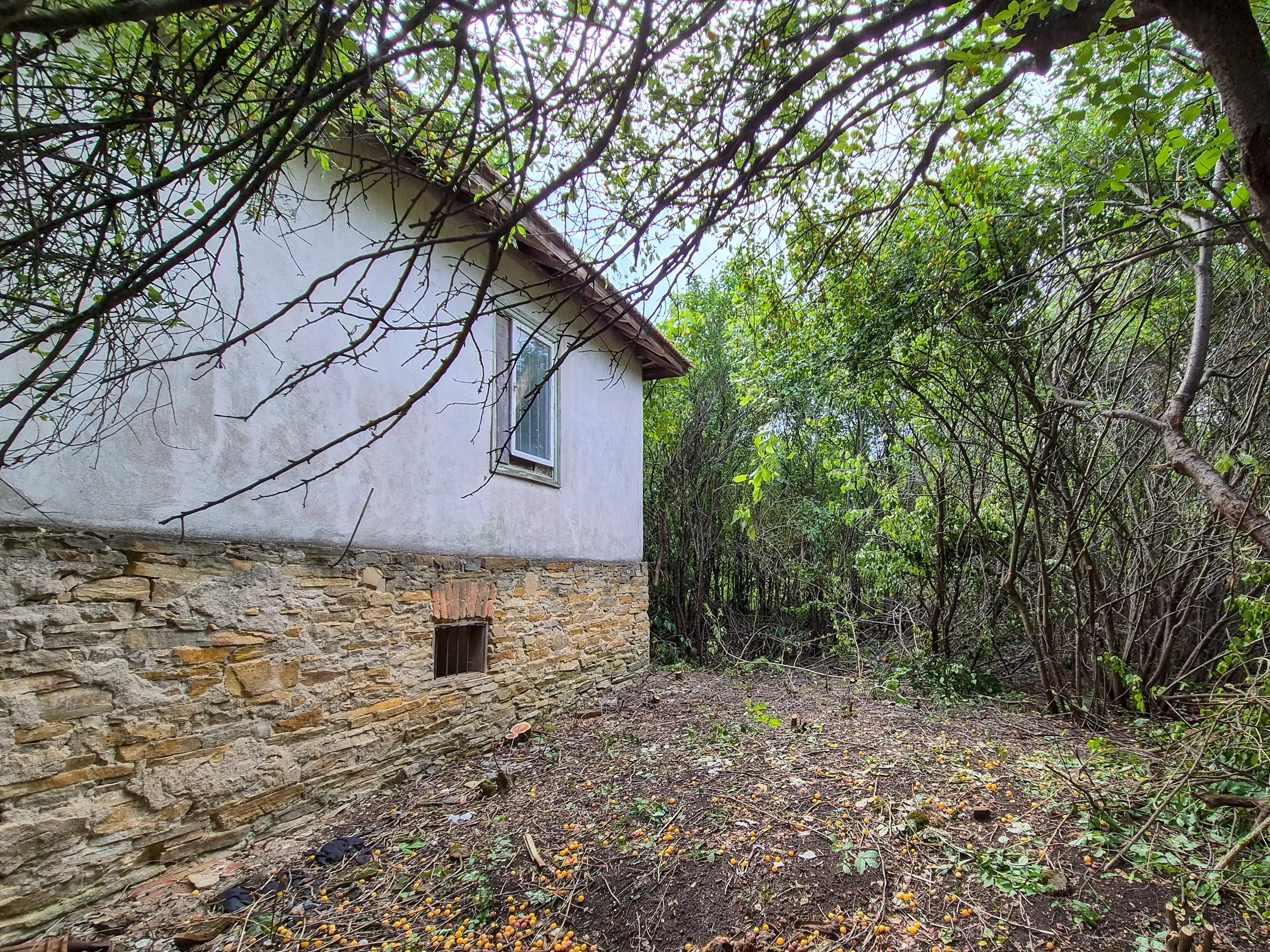 3.948 m2 grond met klassiek huis en bijgebouw in Izvor Mahala (Vidin) - Bulgarije