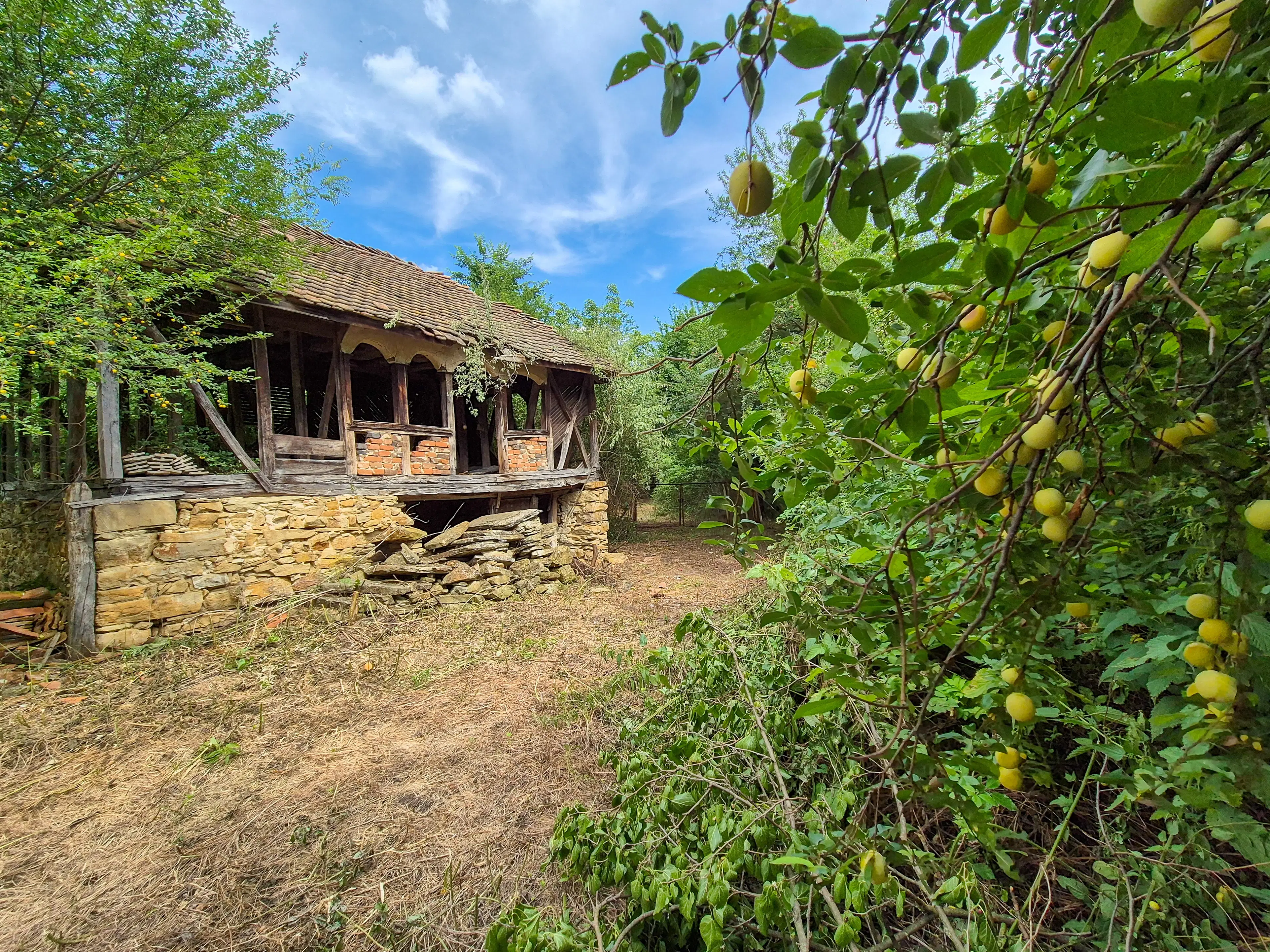 3.948 m2 grond met klassiek huis en bijgebouw in Izvor Mahala (Vidin) - Bulgarije