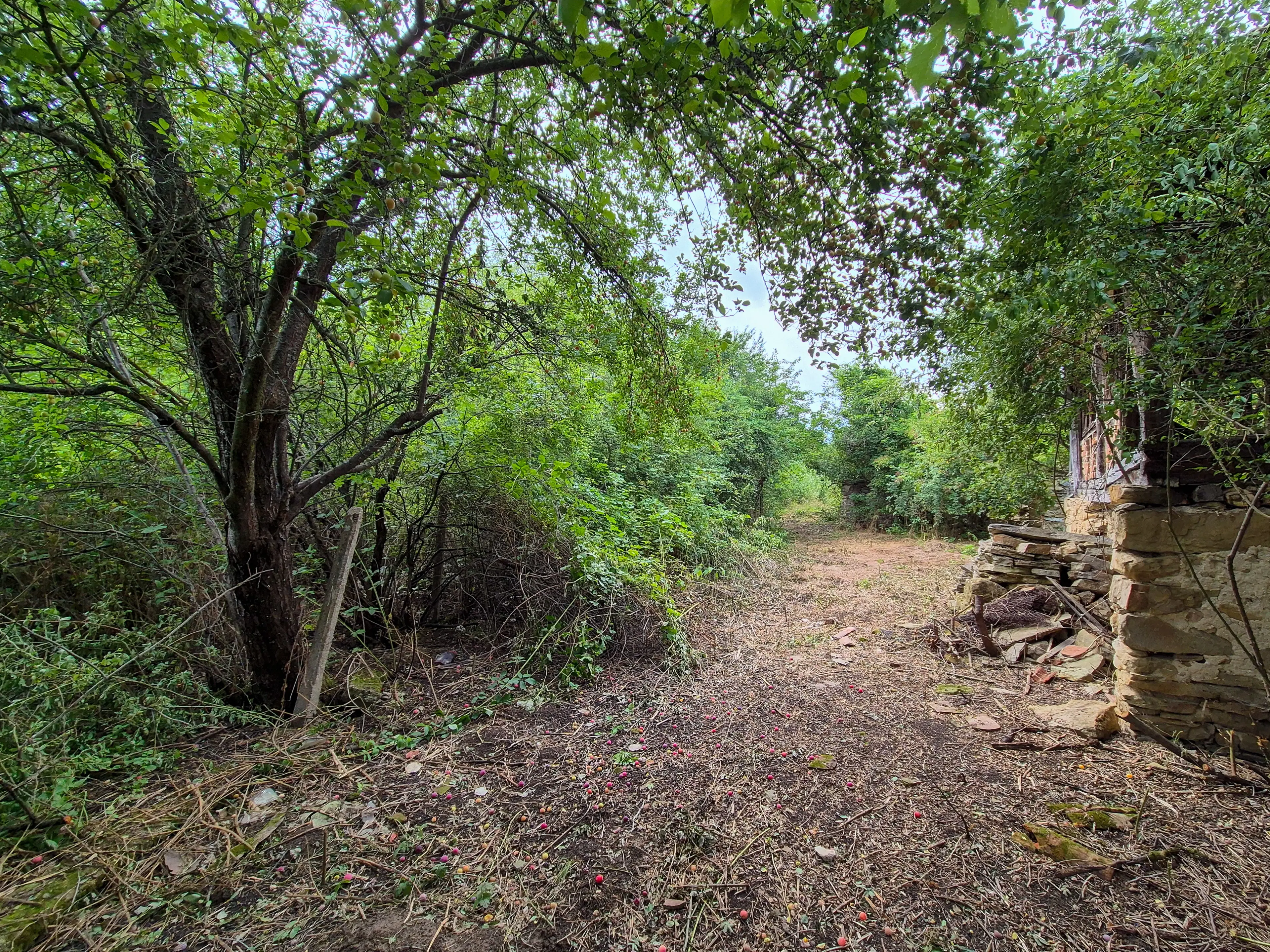 3.948 m2 grond met klassiek huis en bijgebouw in Izvor Mahala (Vidin) - Bulgarije