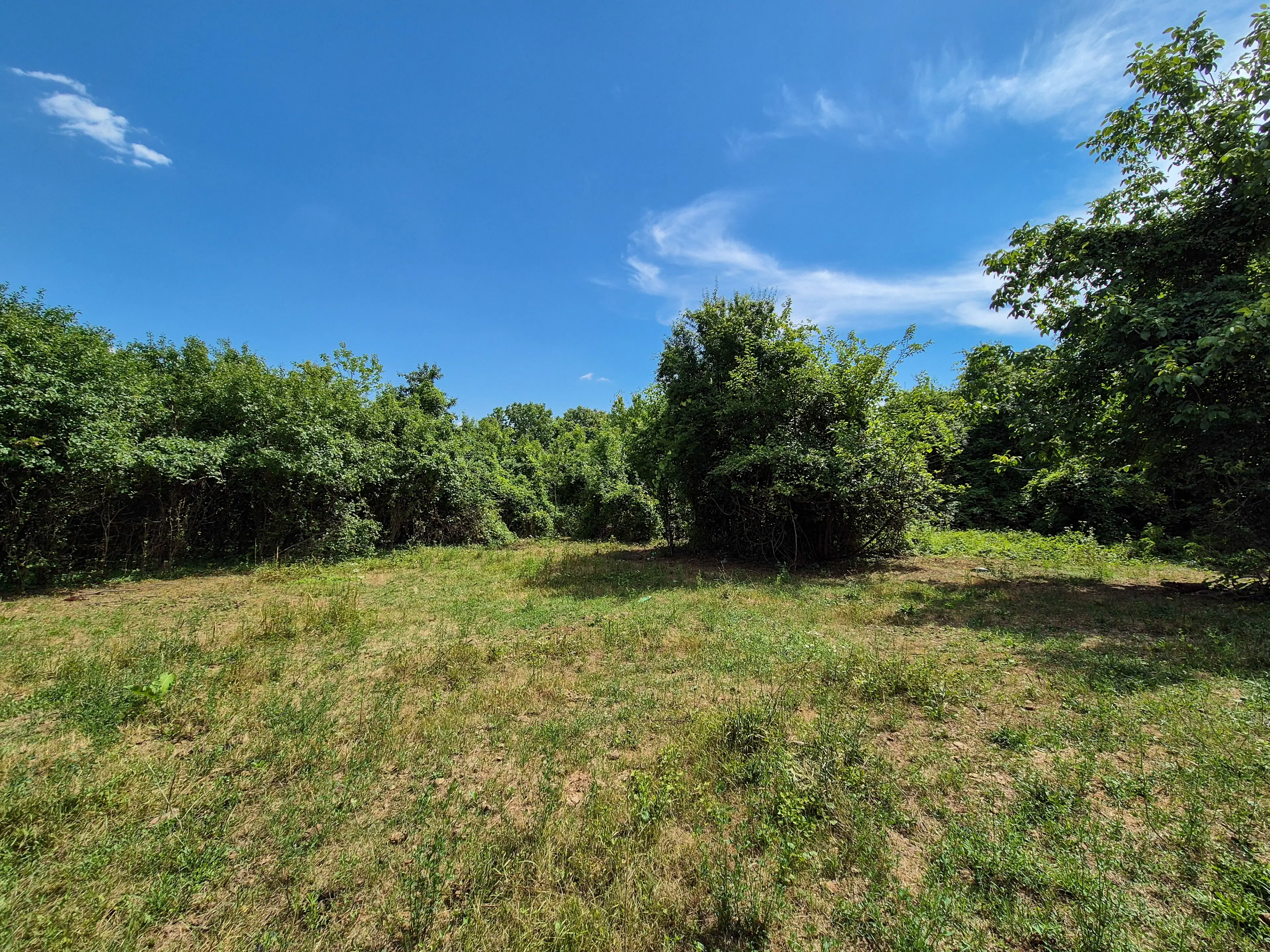 Klassiek huis, bijgebouw en 1.662 m2 grond in Izvor Mahala (Vidin) - Bulgarije