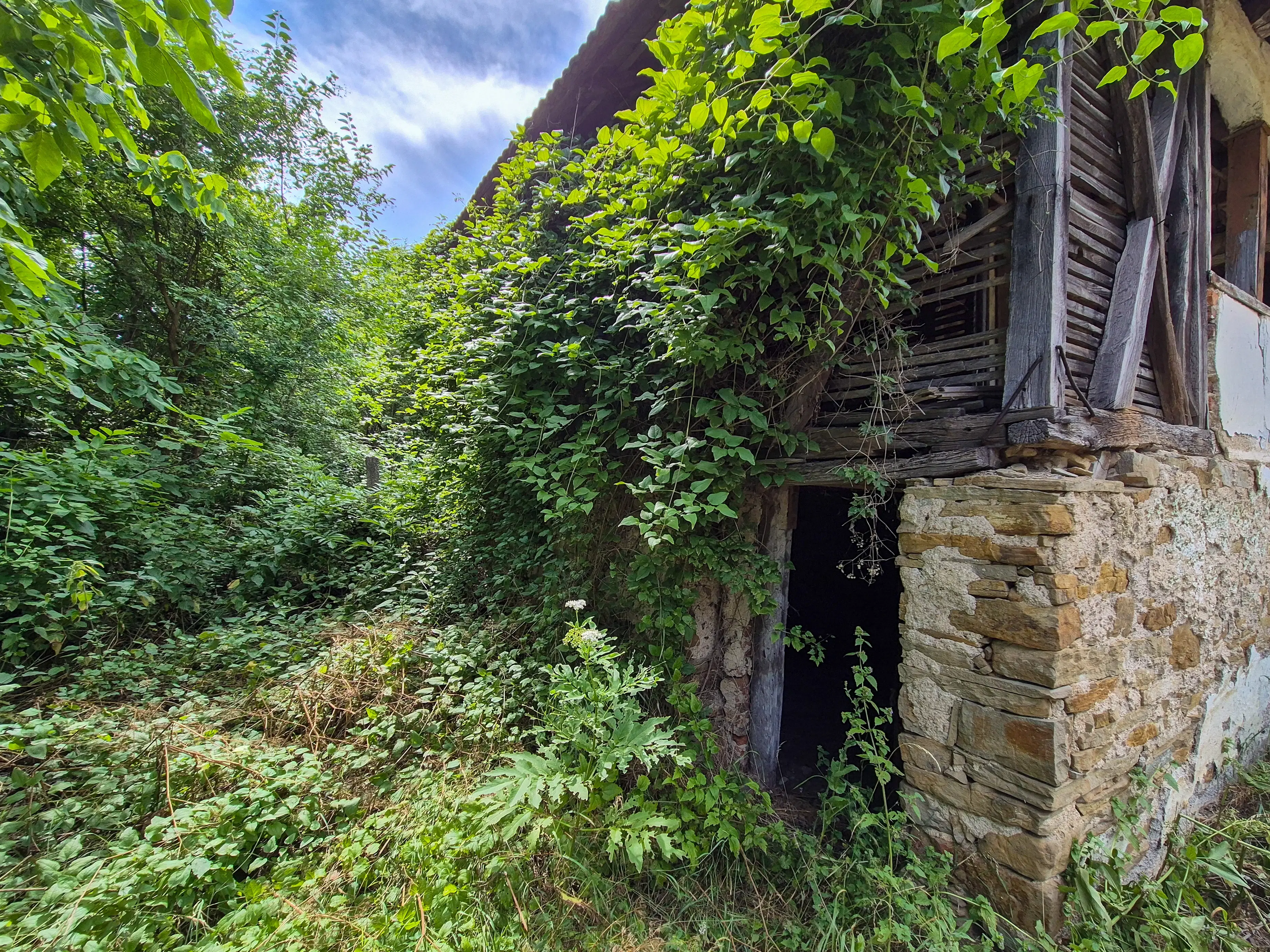 Klassiek huis, bijgebouw en 1.662 m2 grond in Izvor Mahala (Vidin) - Bulgarije