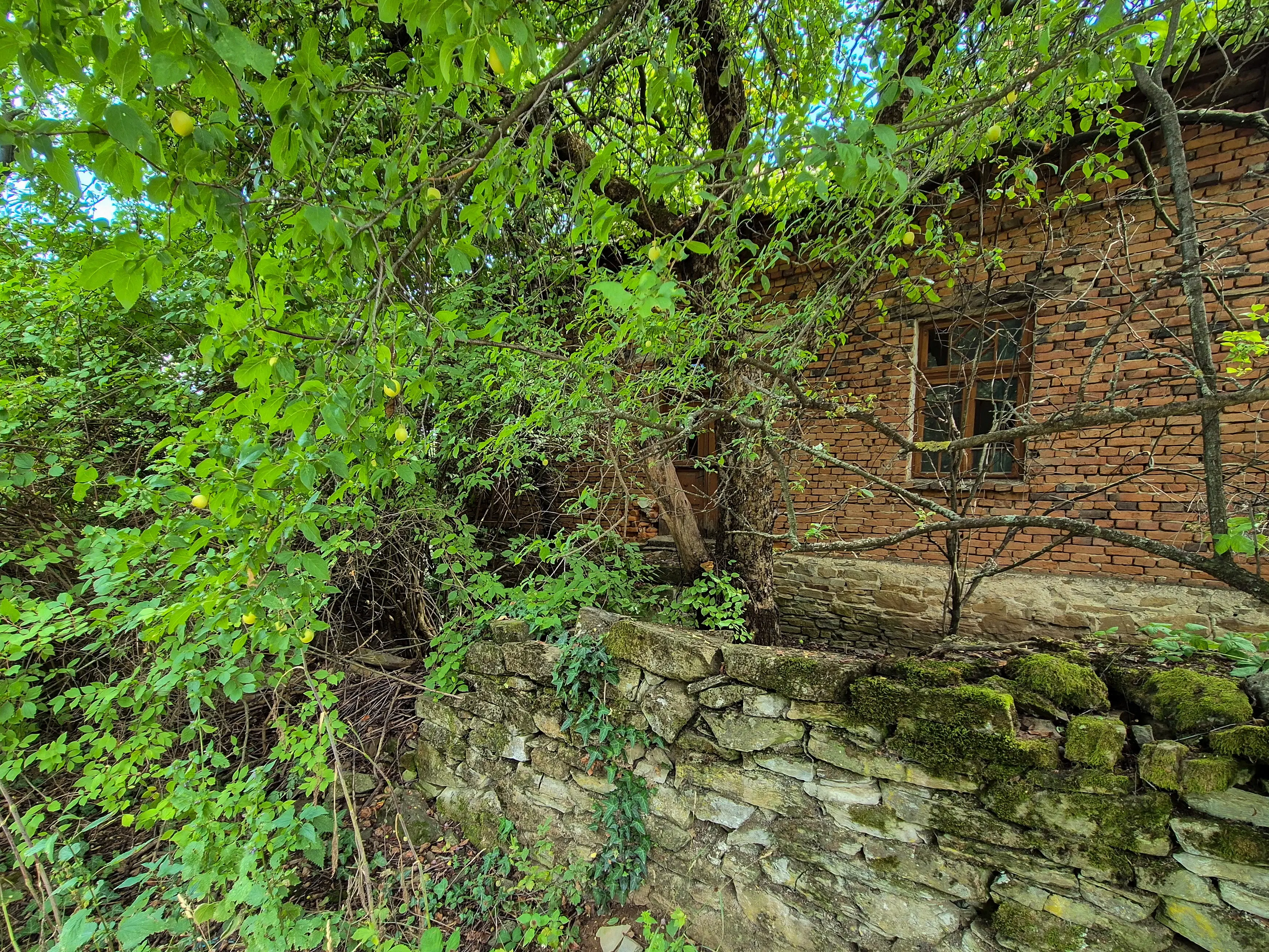 Klassiek huis, bijgebouw en 1.662 m2 grond in Izvor Mahala (Vidin) - Bulgarije