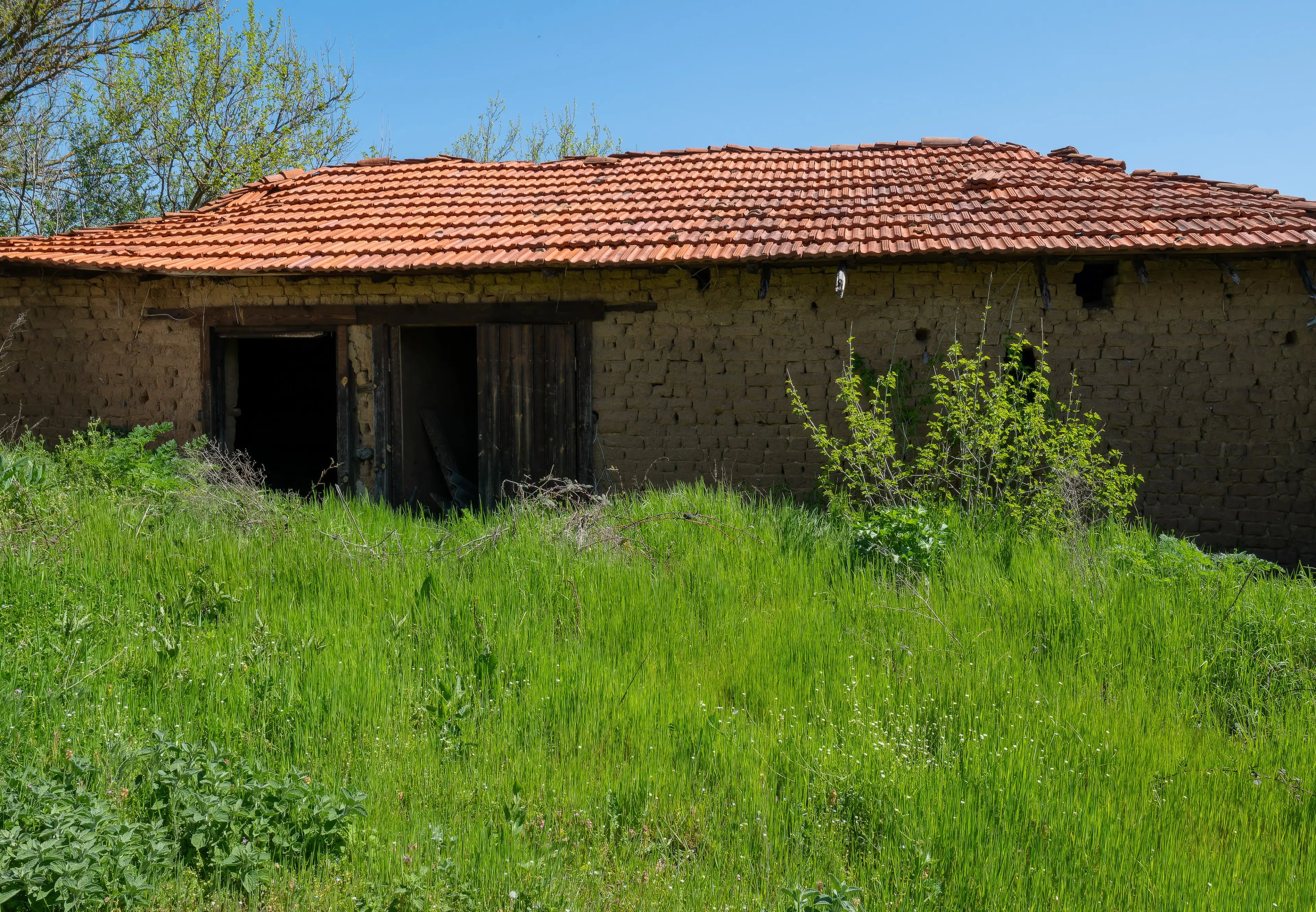 Twee verdiepingen huis, bijgebouwen en 766 m2 grond - Leshnikovo - Bulgarije