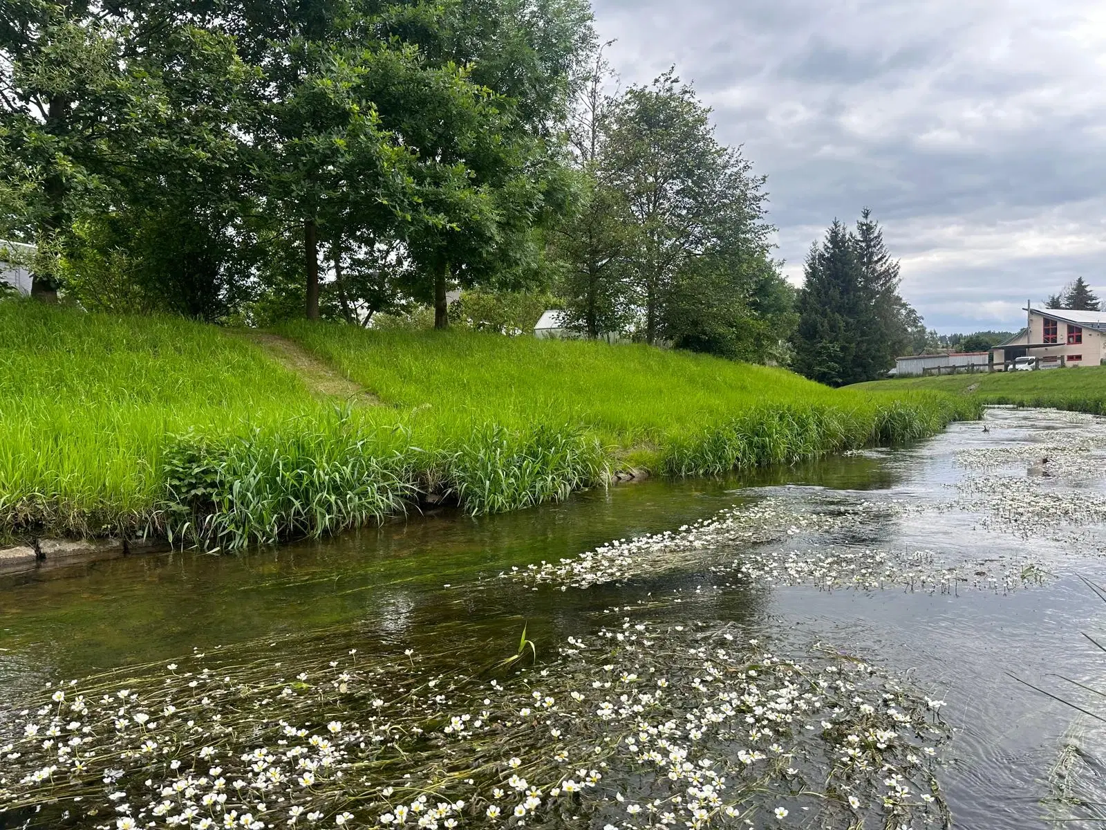 Recreatiekavel met kleine bungalow (blokhut) - Sohland an der Spree - Duitsland