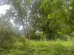 Ruim perceel van 5.550 m2 gelegen aan de rivier Gera - Erfurt OT Molsdorf - Duitsland