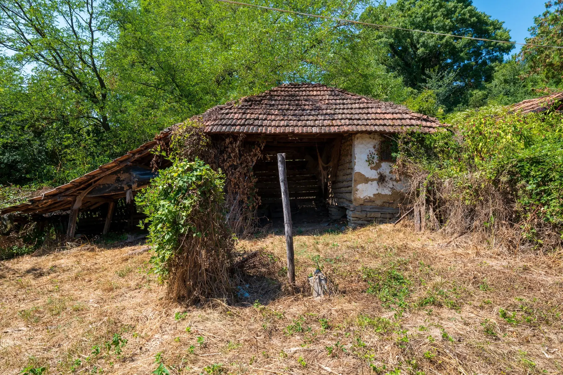 2.726 m² grond, vrijstaand huis & bijgebouwen - Staropatitsa, Vidin - Bulgarije