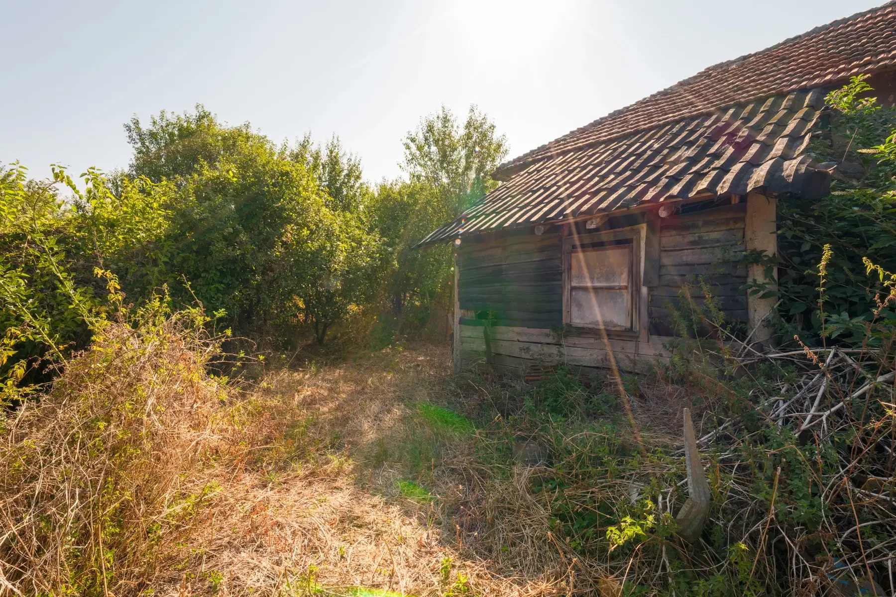 771 m² grond, huis & bijgebouw - Izvor Mahala, Vidin - Bulgarije