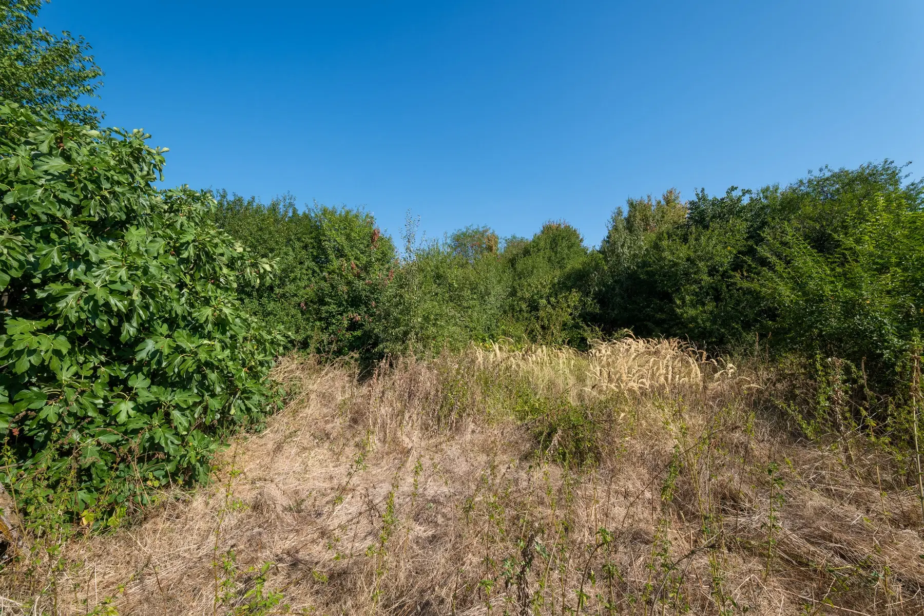 771 m² grond, huis & bijgebouw - Izvor Mahala, Vidin - Bulgarije