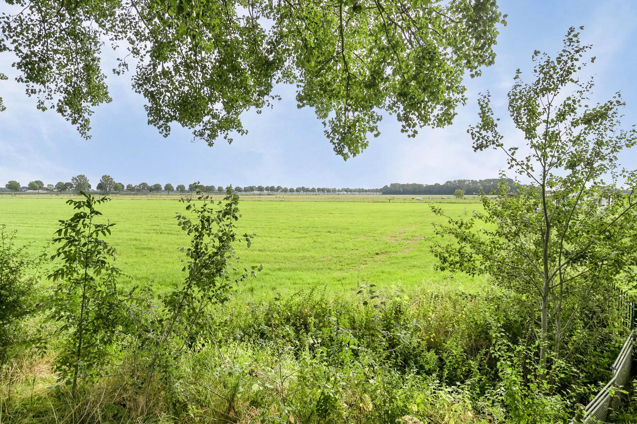 Grasland nabij Dijkgraaf de Leeuwweg te Appeltern