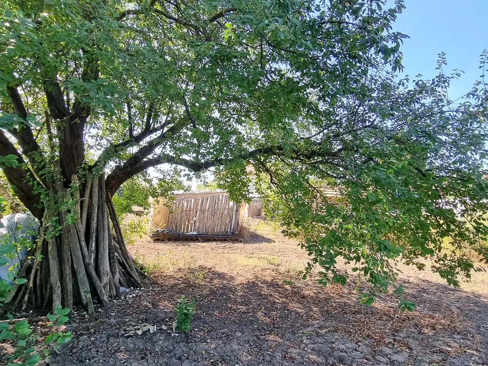 Boerderij, 3 huizen, bijgebouwen en 3.320 m2 met wijngaarden in Kladensti, Dobrich - Bulgarije