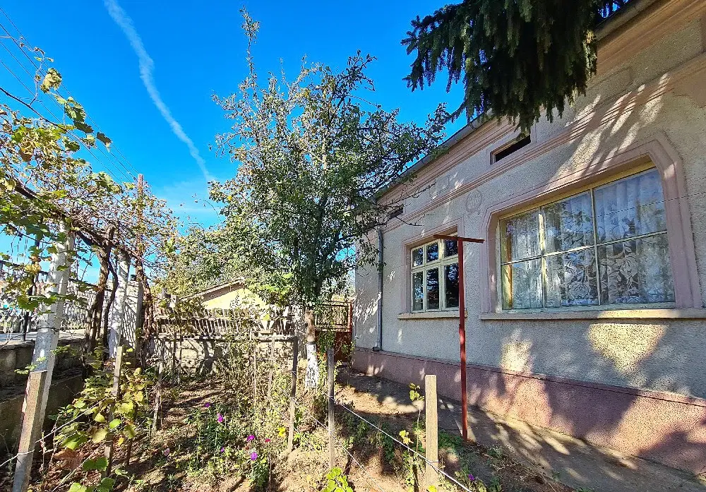 Boerderij, 3 huizen, bijgebouwen en 3.320 m2 met wijngaarden in Kladensti, Dobrich - Bulgarije