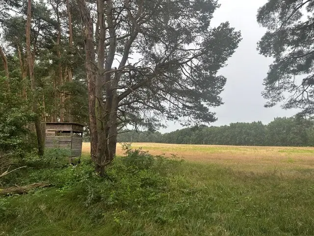 40 meter Vooroorlogse uitkijktoren - Lübtheen - Duitsland