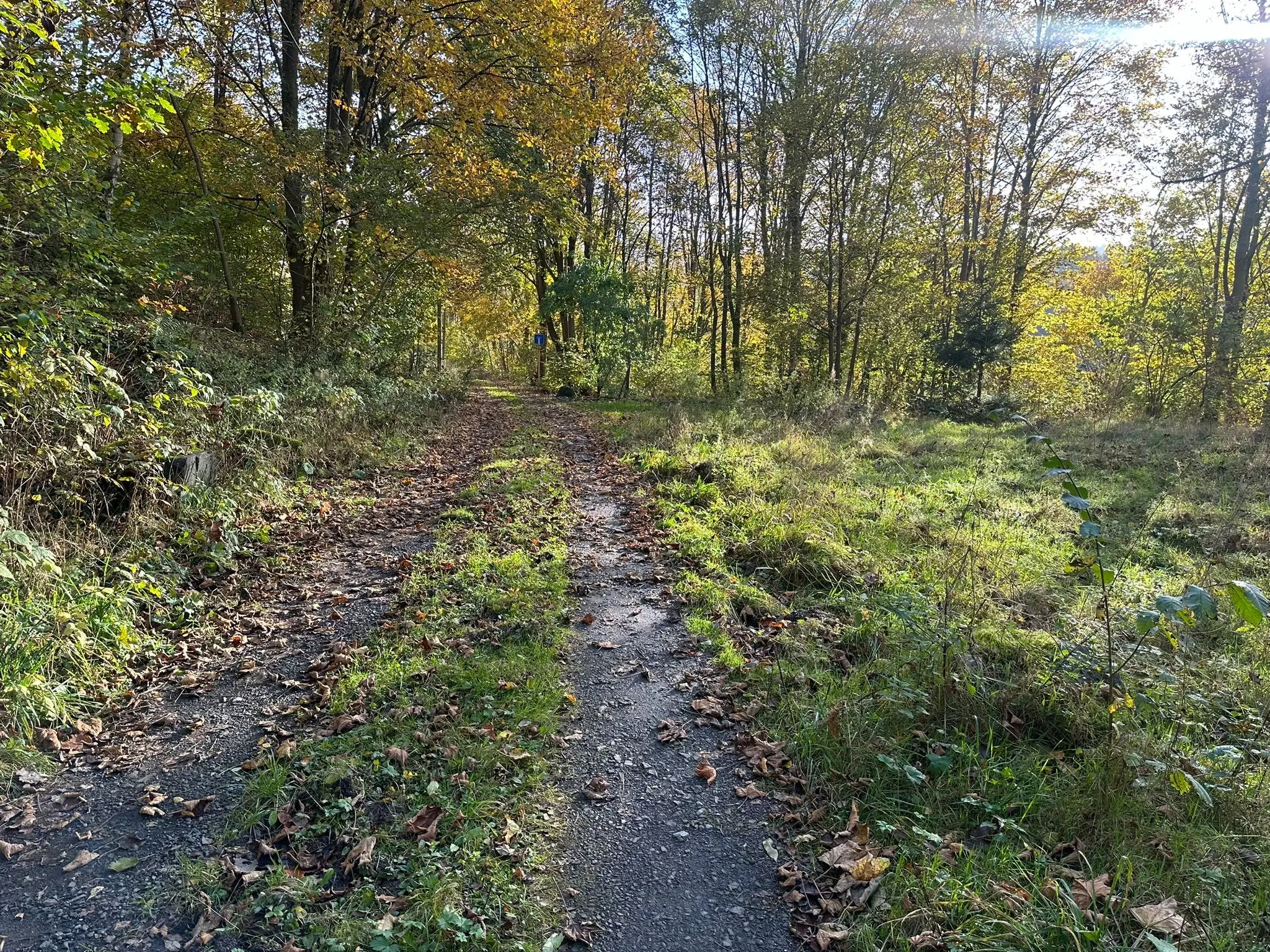 2.507 m² bos perceel nabij Frankenwald - Steinach - Duitsland