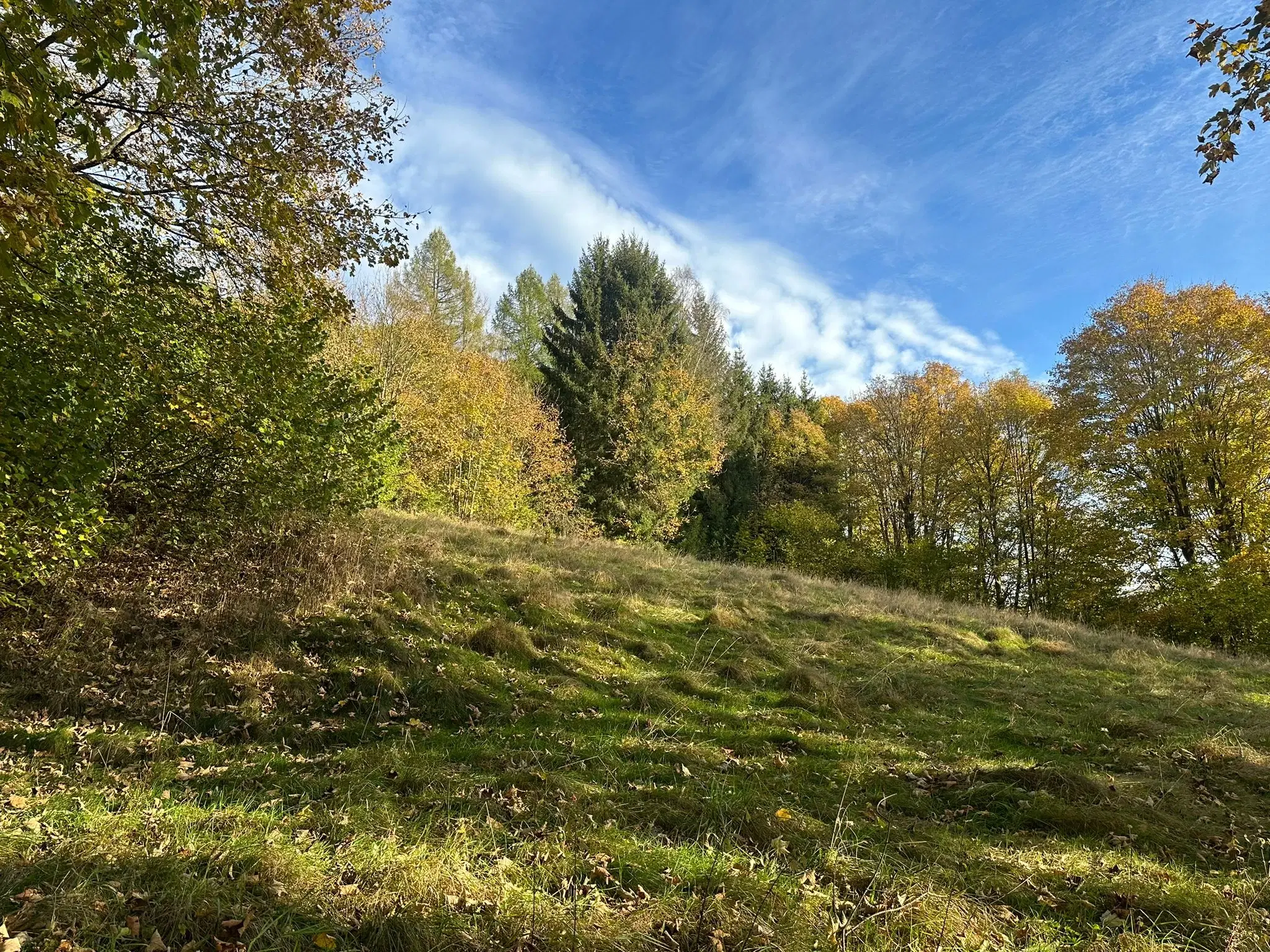 2.507 m² bos perceel nabij Frankenwald - Steinach - Duitsland