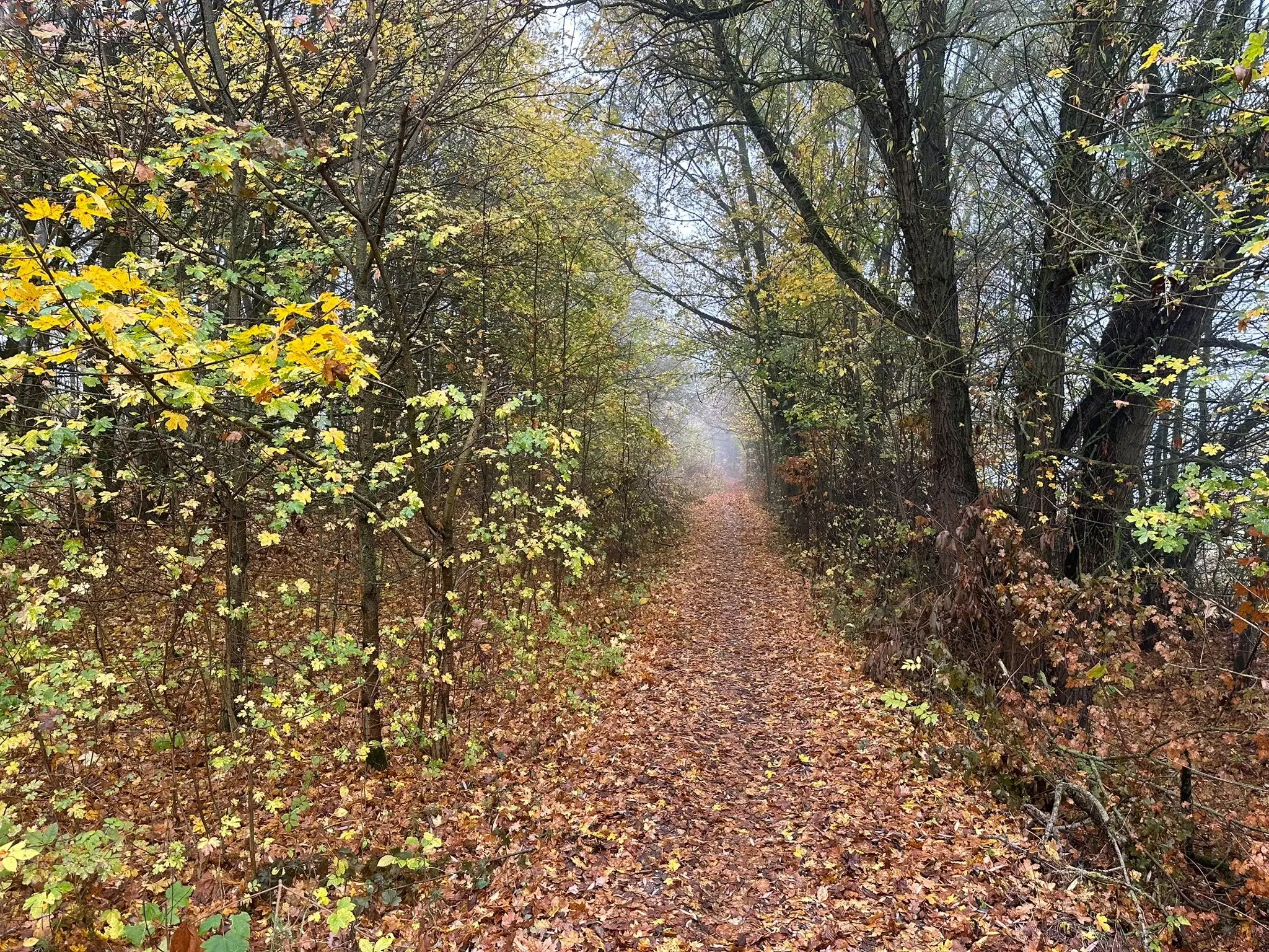 Perceel 736 m² Wolfsberhingen, Thüringerwald - Duitsland