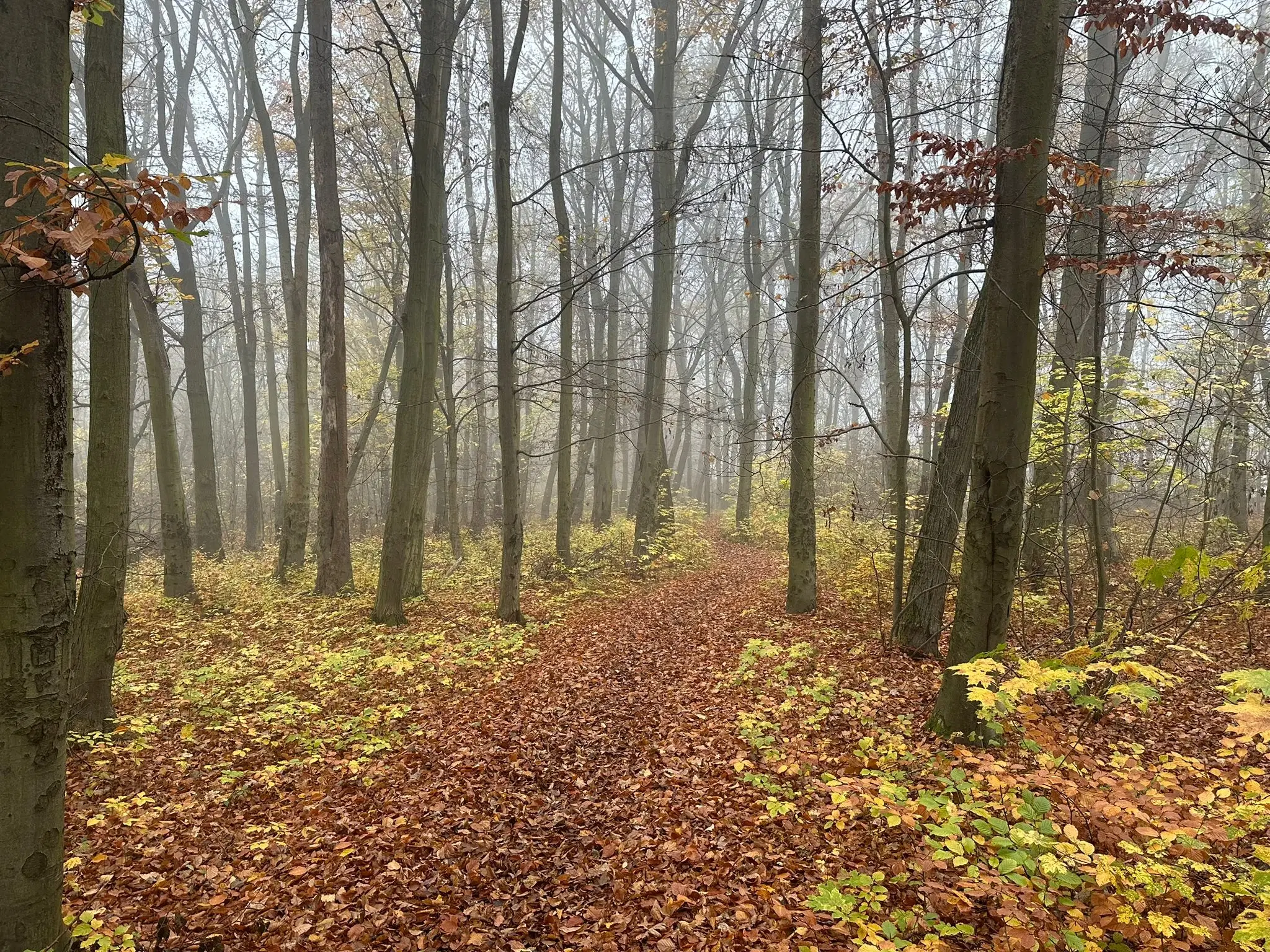 Perceel 736 m² Wolfsberhingen, Thüringerwald - Duitsland