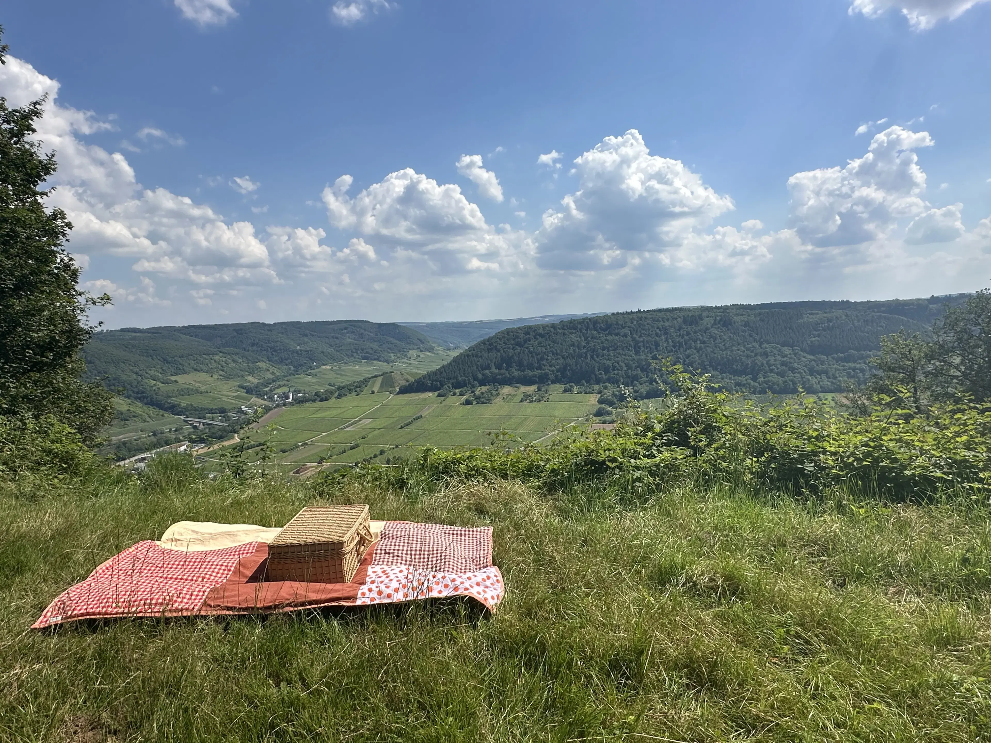 3 percelen van 604 m² met uitzicht in Cochem - Duitsland