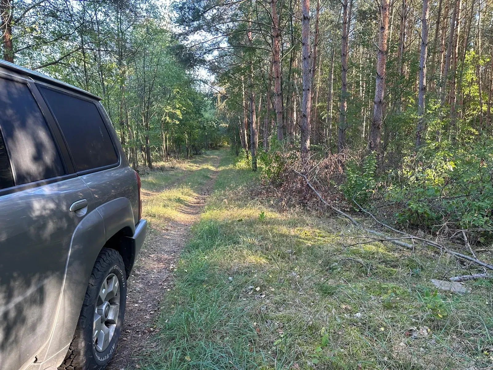 38.679 m² bosgrond in Swedt/Oder, Brandenburg - Duitsland