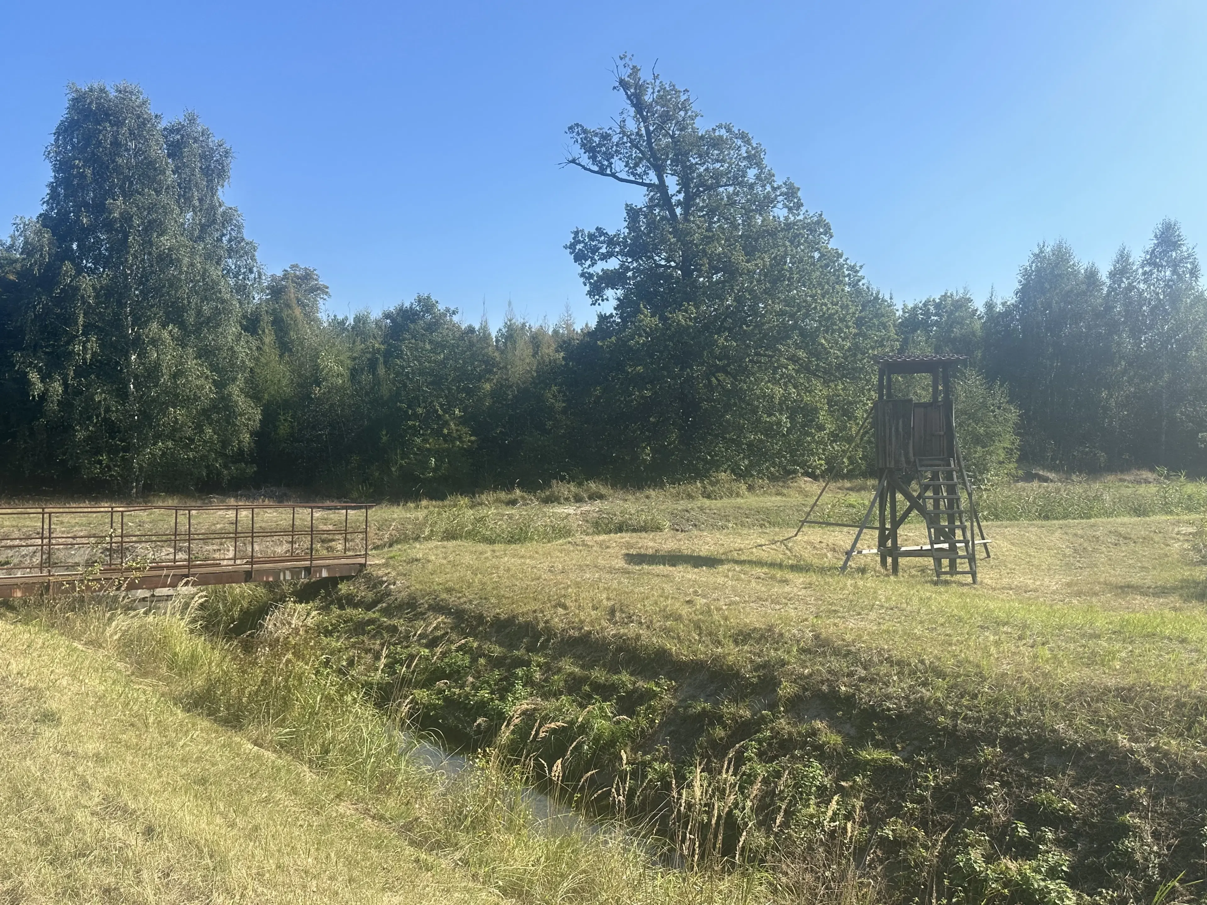 38.679 m² bosgrond in Swedt/Oder, Brandenburg - Duitsland