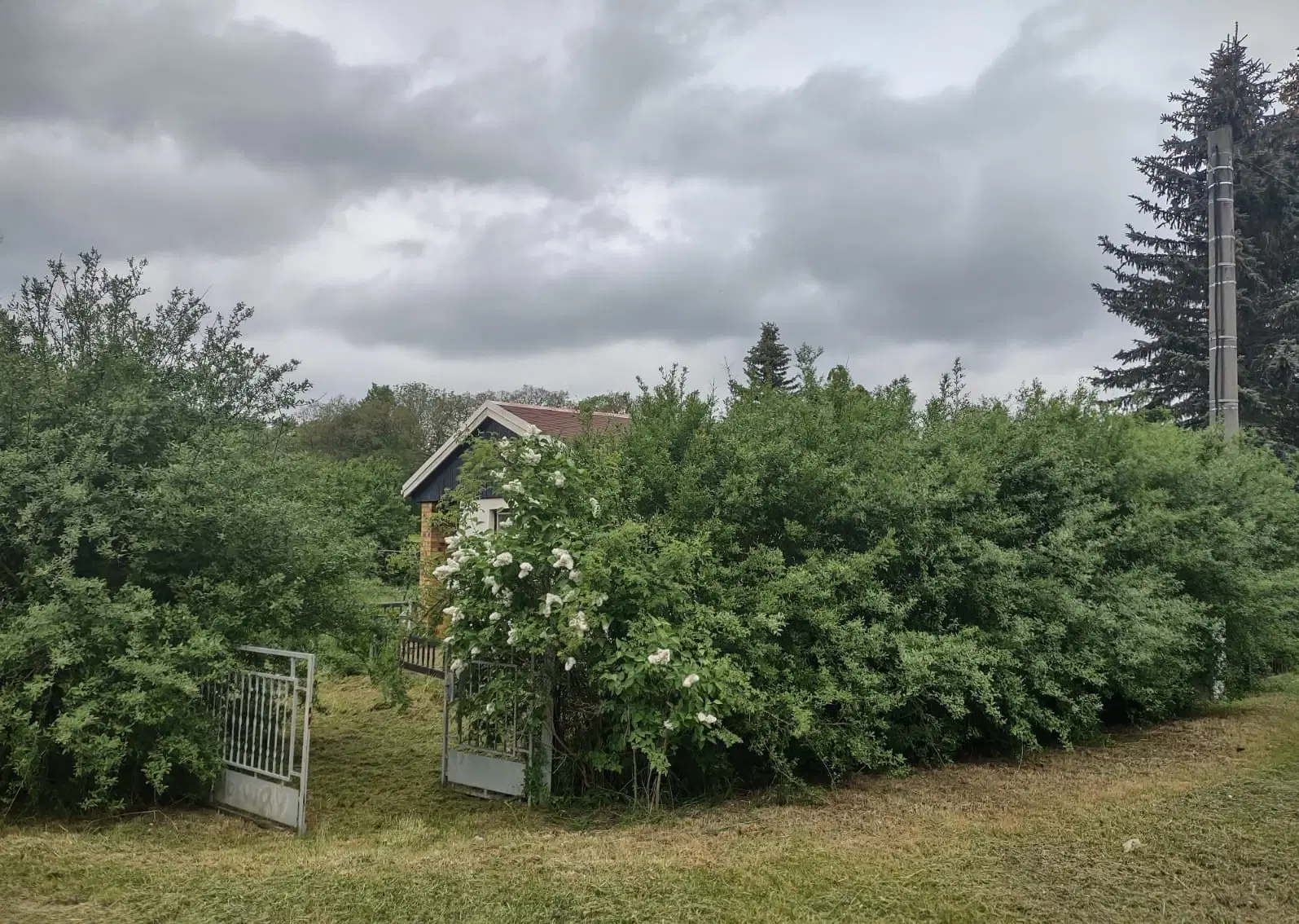 Vakantiebungalow op eigen grond, aan een groot meer in Taltitz, Oelsnitz - Duitsland