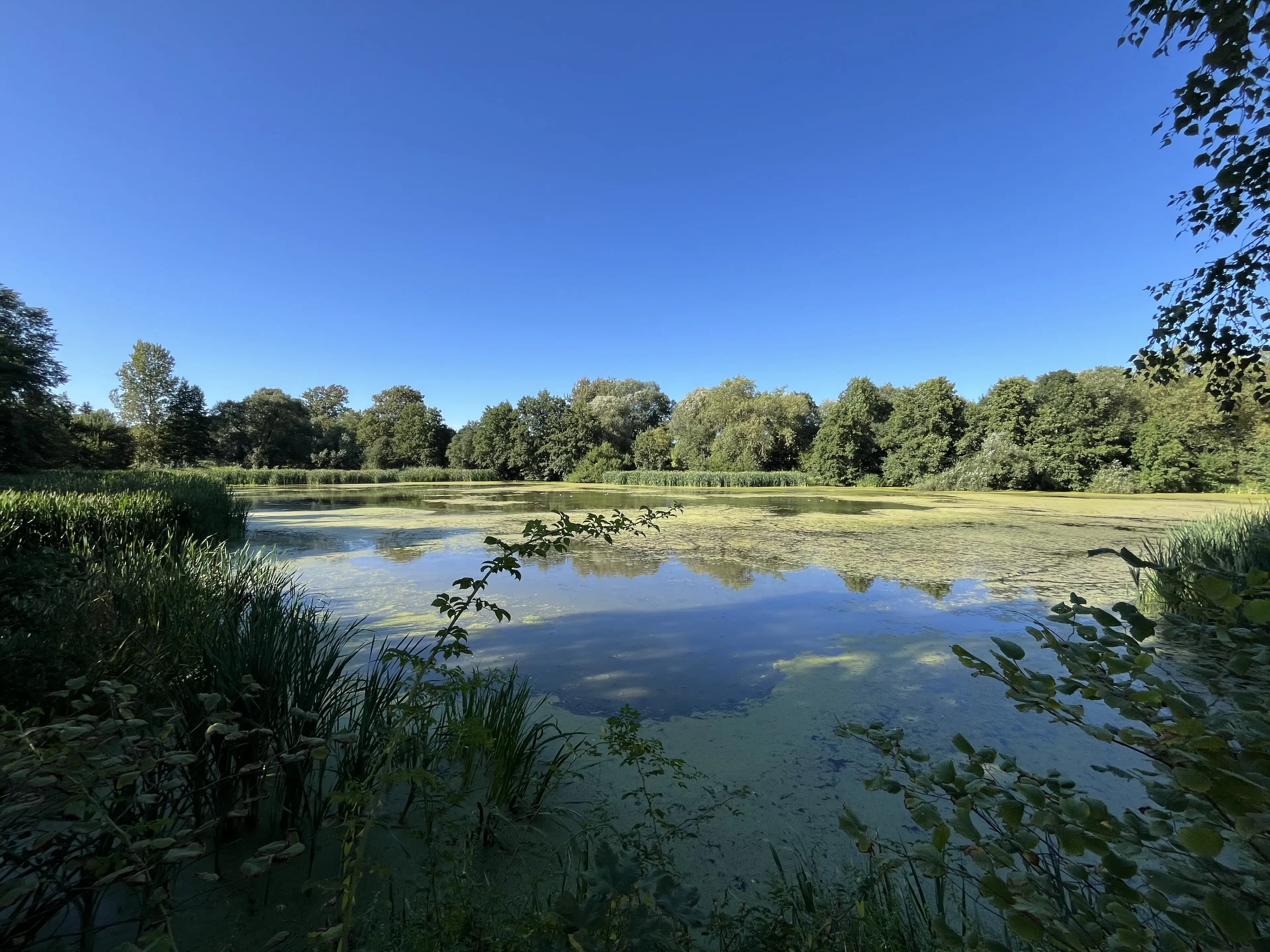 Gerenoveerd vakwerkhuis met ruime tuin en bijgebouwen op perceel van 821 m2 in Dobitschen - Duitsland