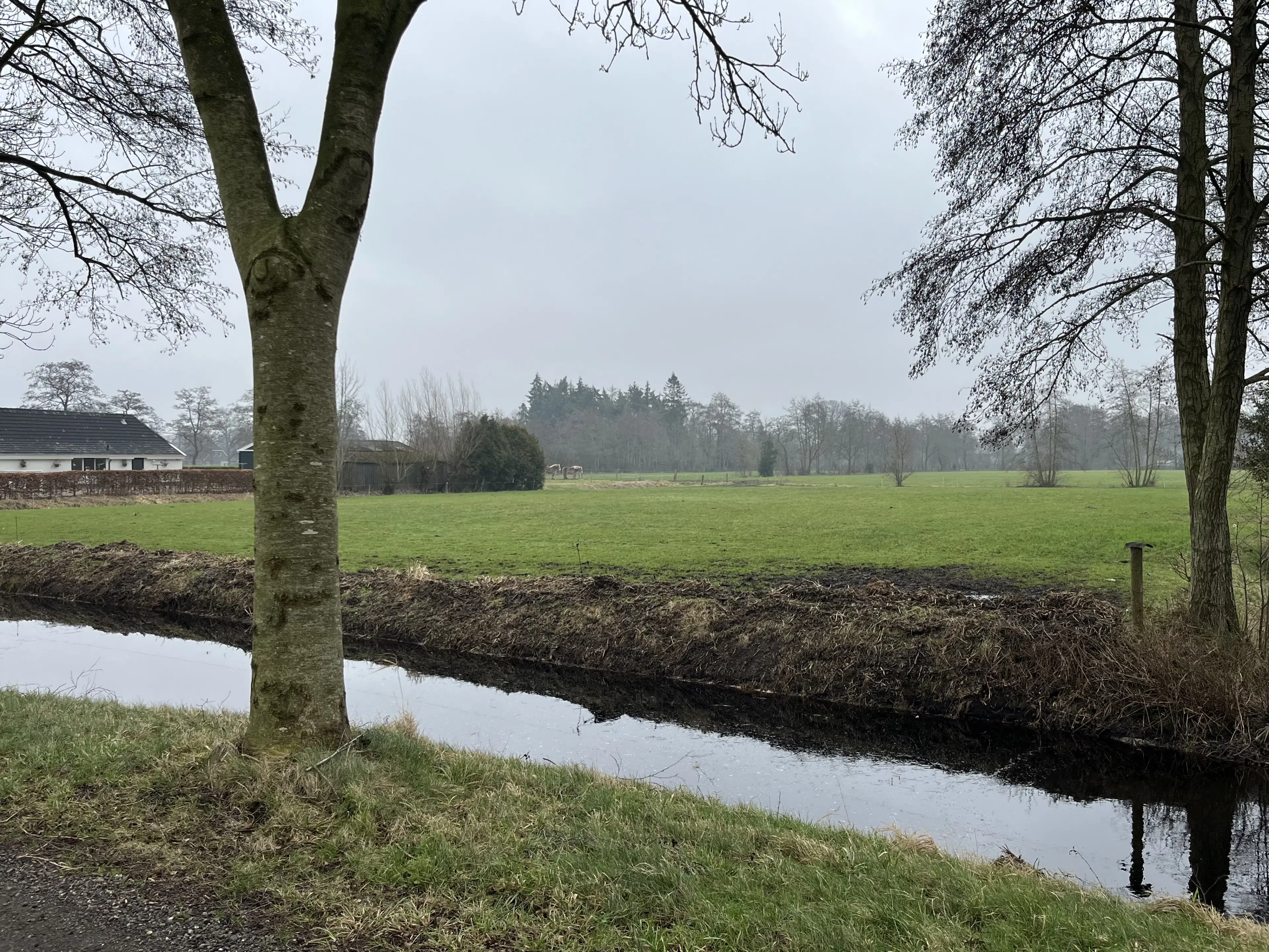 Perceel grond nabij de Veldstreek te Zevenhuizen (Leek)