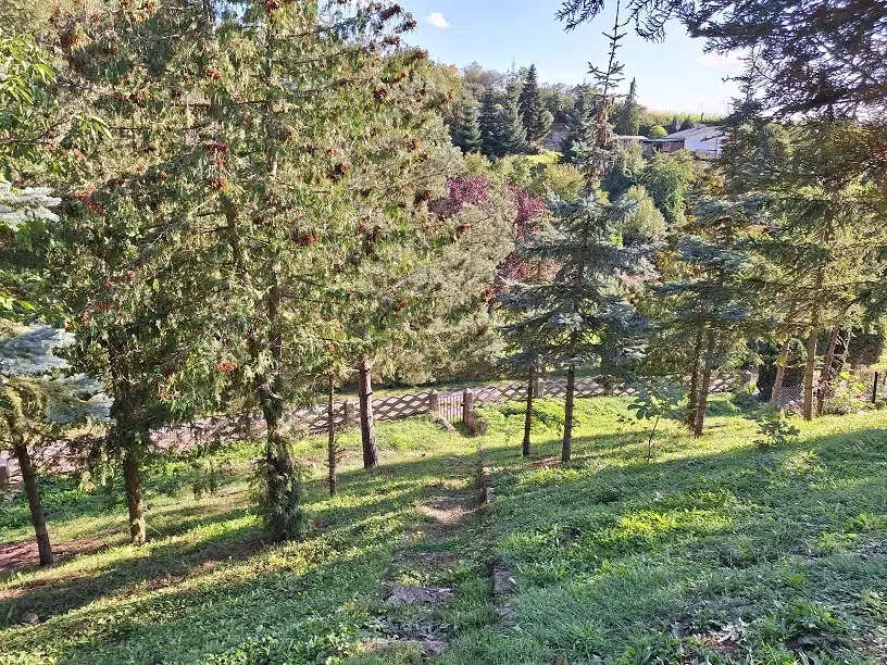 Tuinkavel met piepklein huisje in Sangerhausen - Duitsland