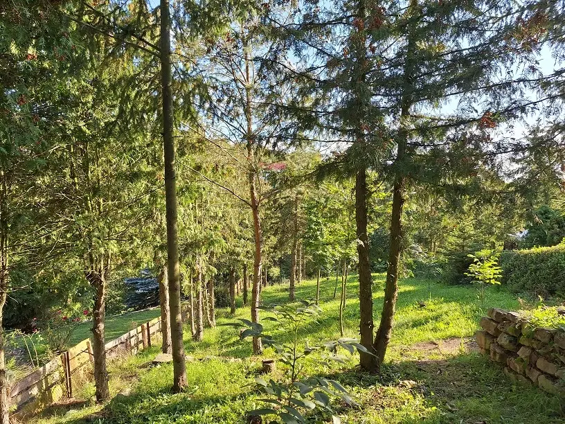 Tuinkavel met piepklein huisje in Sangerhausen - Duitsland