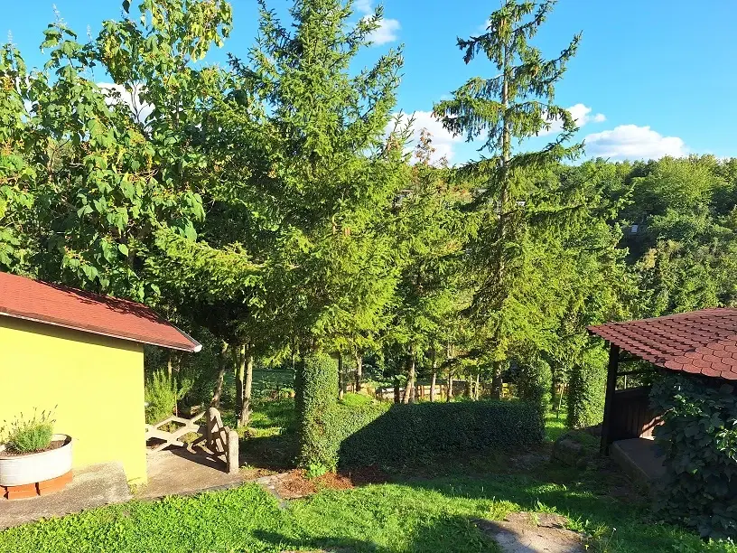 Tuinkavel met piepklein huisje in Sangerhausen - Duitsland