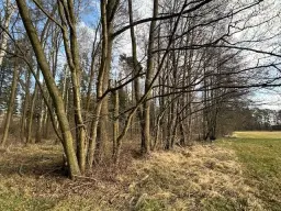 Ca. 5.060 m² 