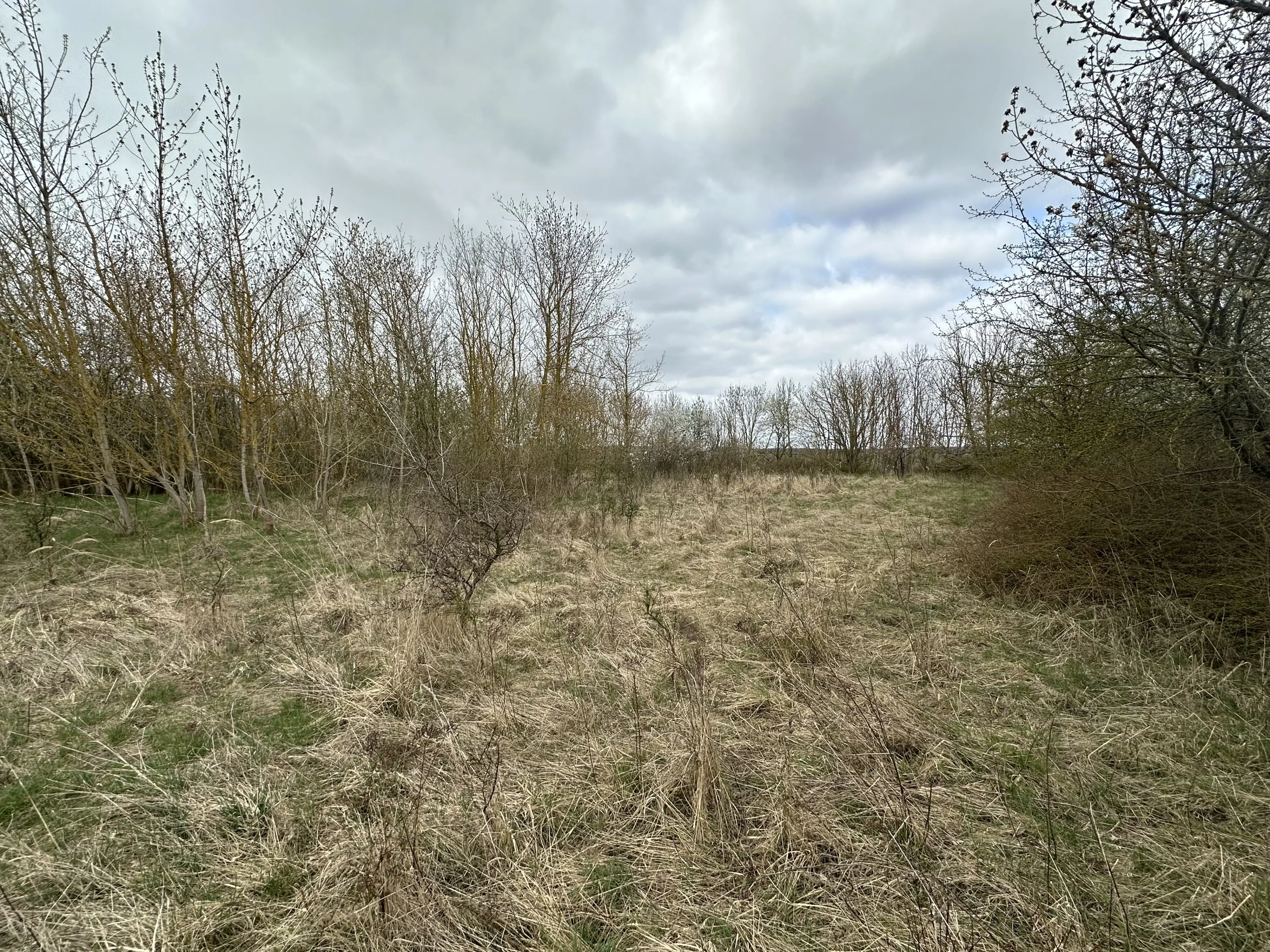 Perceel van 16.983 m2 vol charme en historie in Oschersleben, nabij Maagdenburg, Duitsland