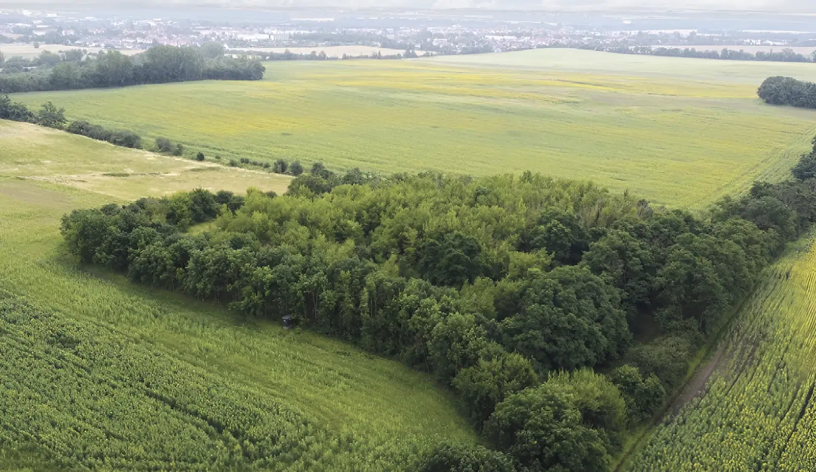 Perceel van 16.983 m2 vol charme en historie in Oschersleben, nabij Maagdenburg, Duitsland