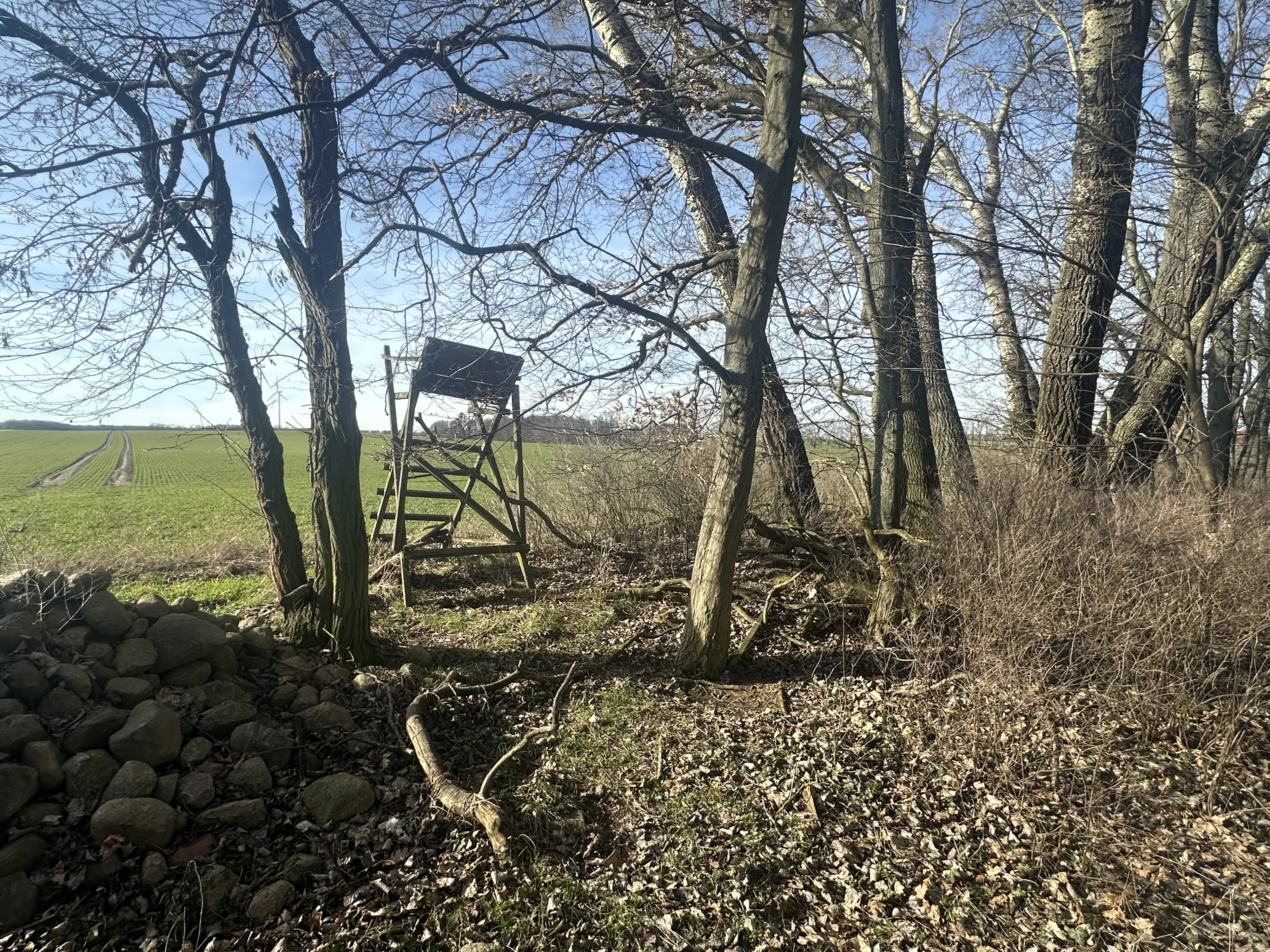 5 percelen van totaal 5.659 m² in Unterwellenborn, Thüringen - Duitsland