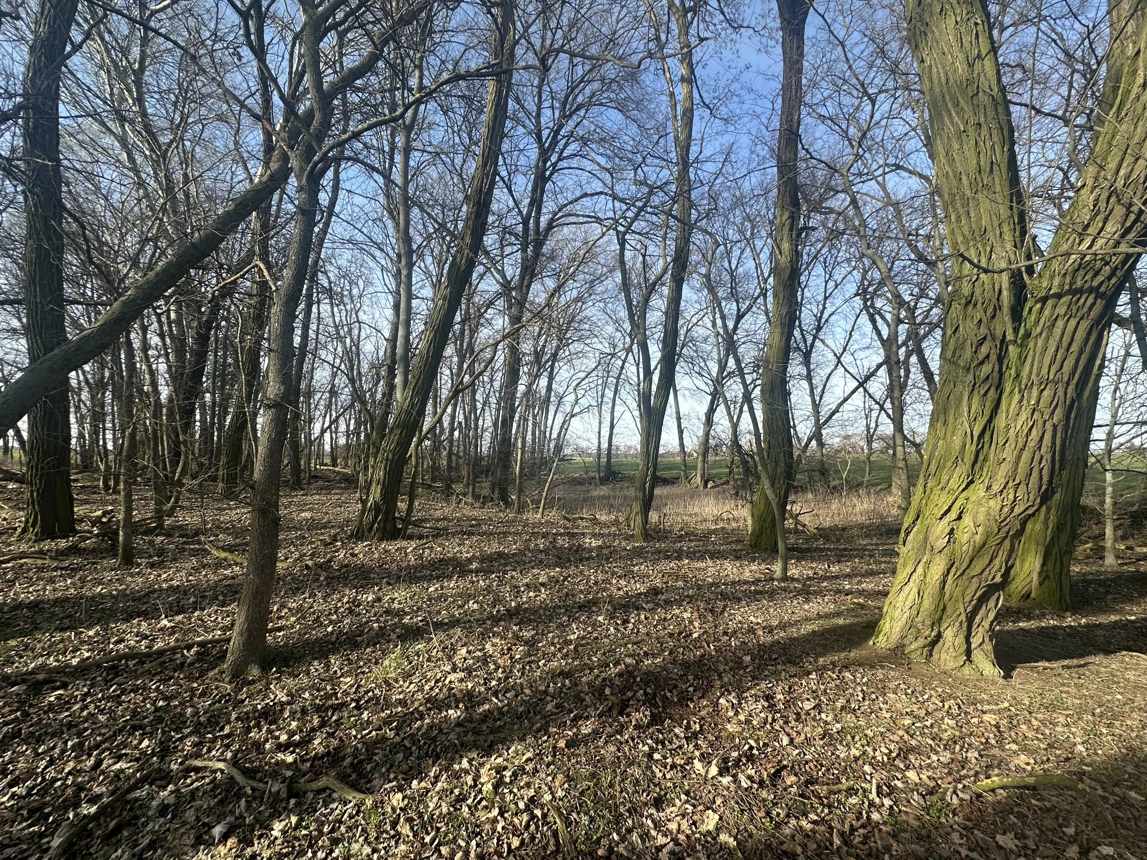 5 percelen van totaal 5.659 m² in Unterwellenborn, Thüringen - Duitsland
