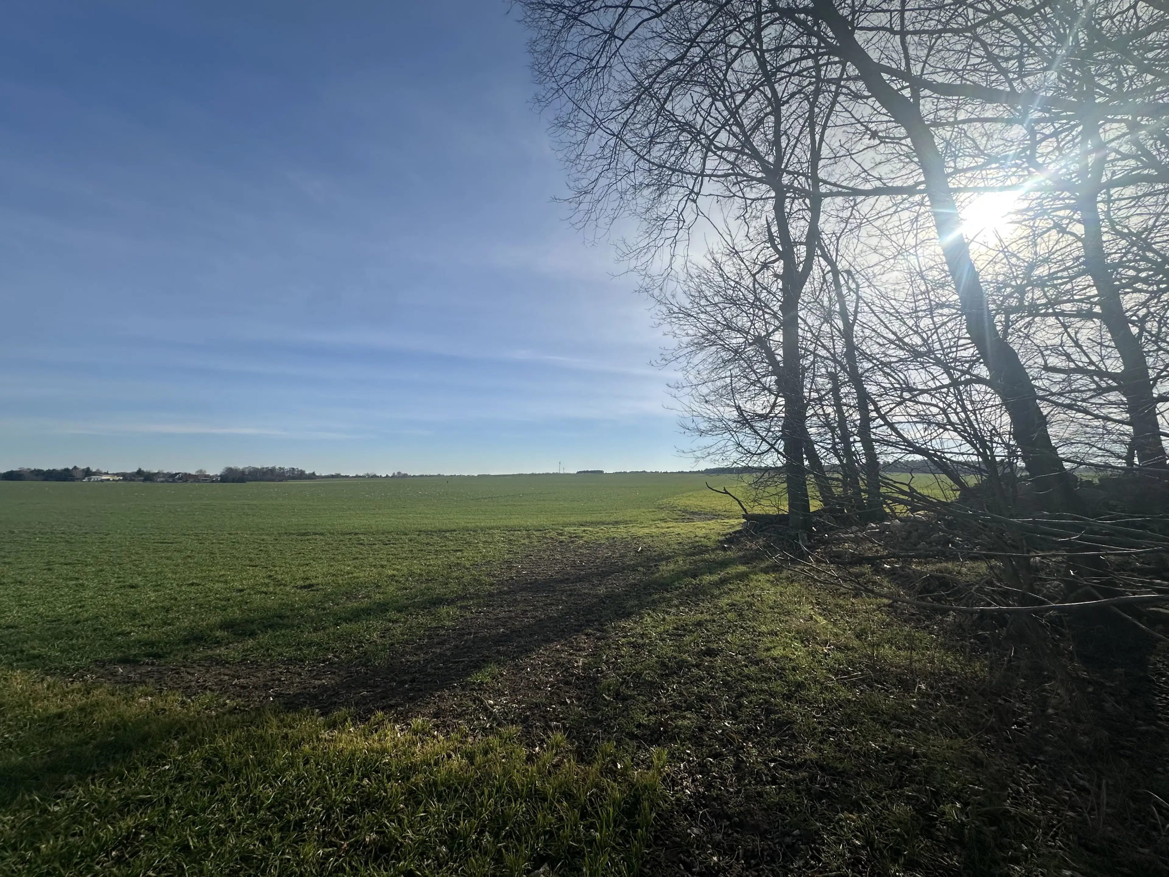 5 percelen van totaal 5.659 m² in Unterwellenborn, Thüringen - Duitsland