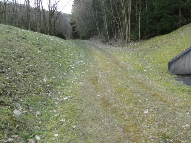 Herontwikkelingsland op 40.000 m² grond nabij Erfurt - Dösnitz - Duitsland