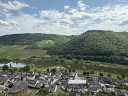 Bosgrond 370 m² in Cochem - Duitsland