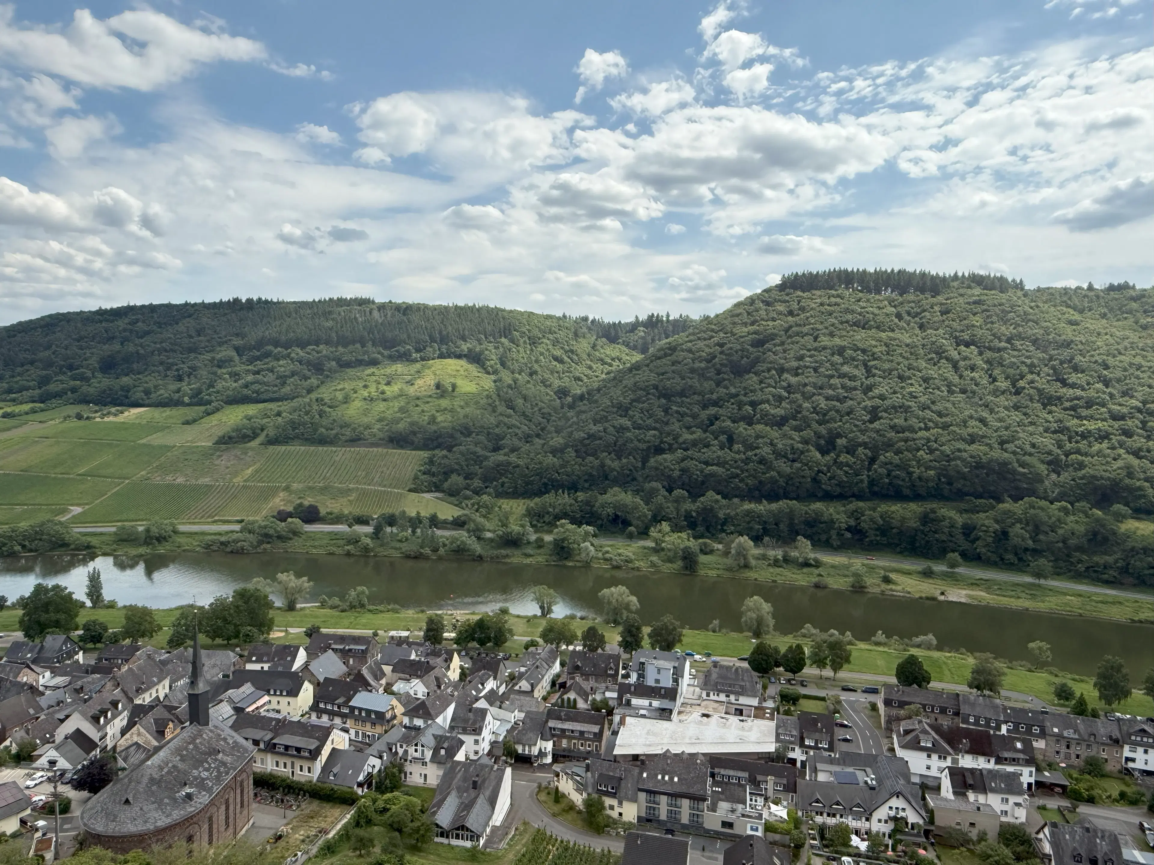 Bosgrond 370 m² in Cochem - Duitsland